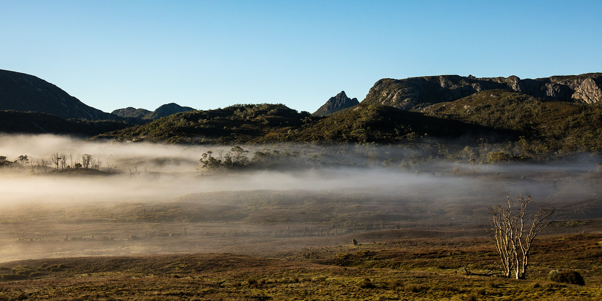 Mist in Cradle Valley