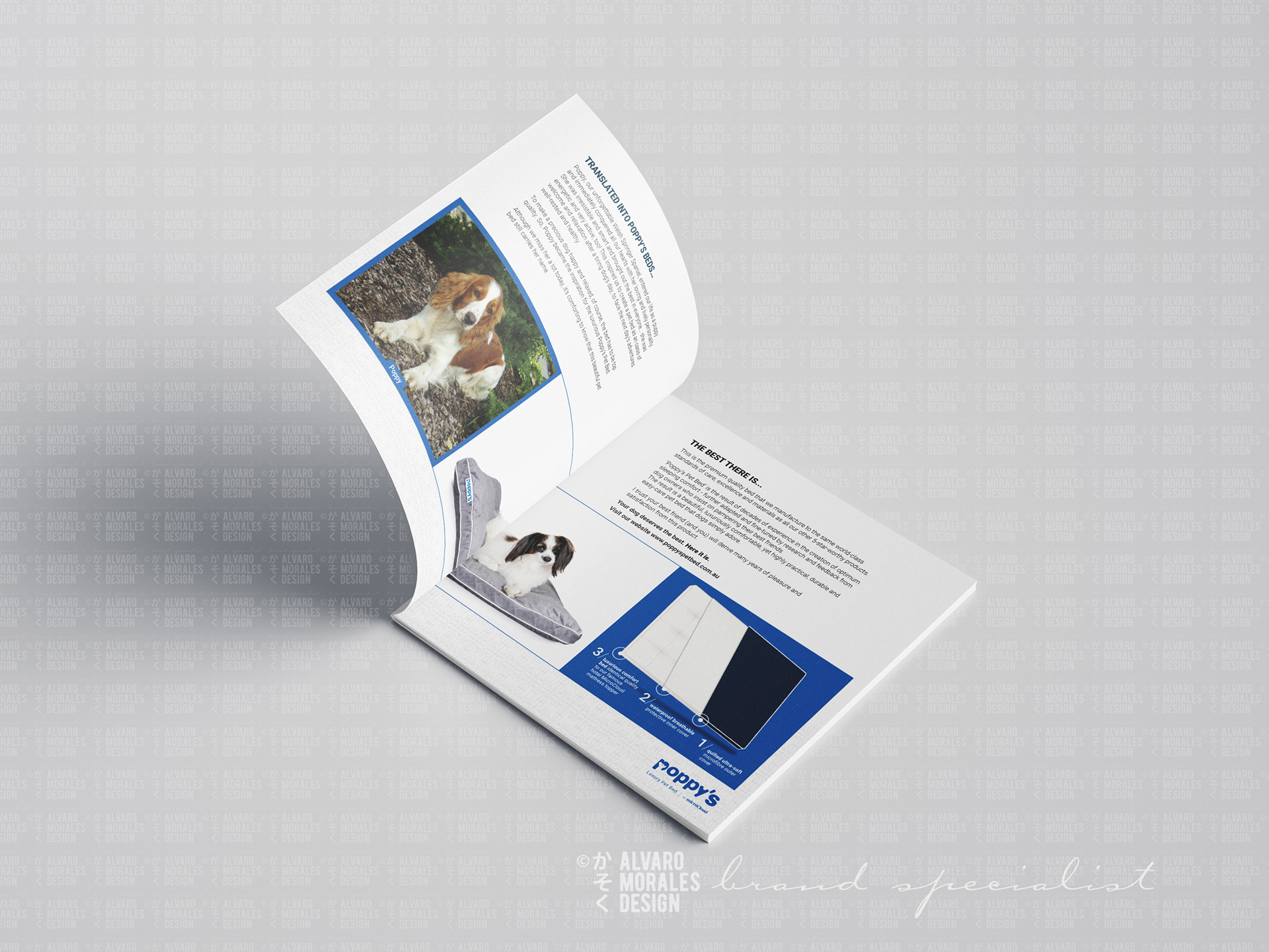 Product description brochure