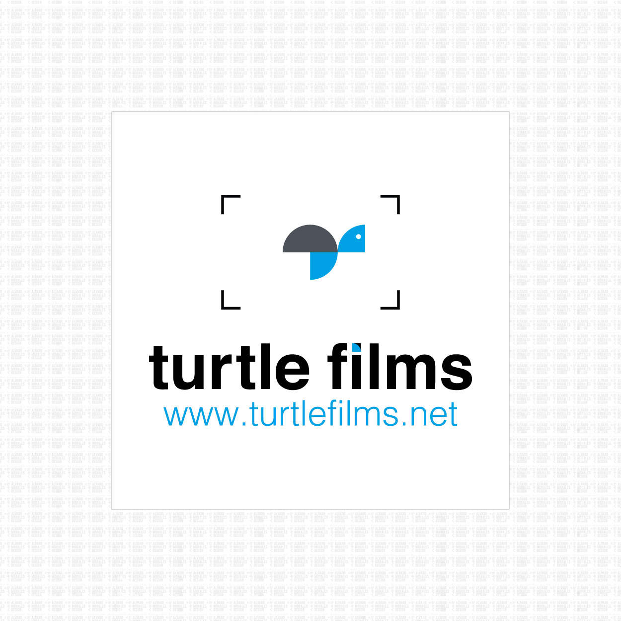 turtle films