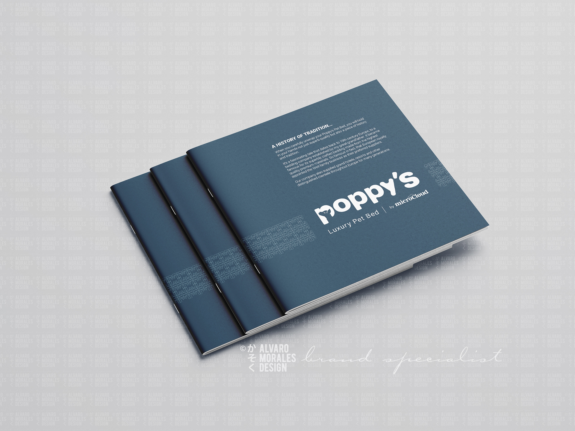 Promotional product flyer
