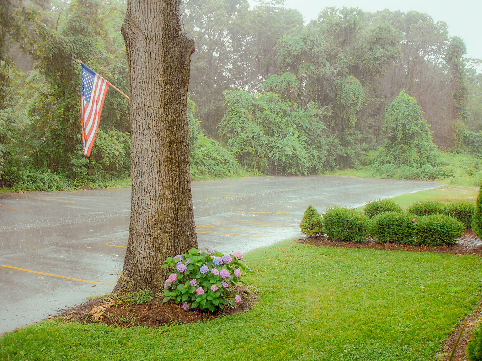 Parking Lot on a Rainy Saturday - Pasadena, Maryland