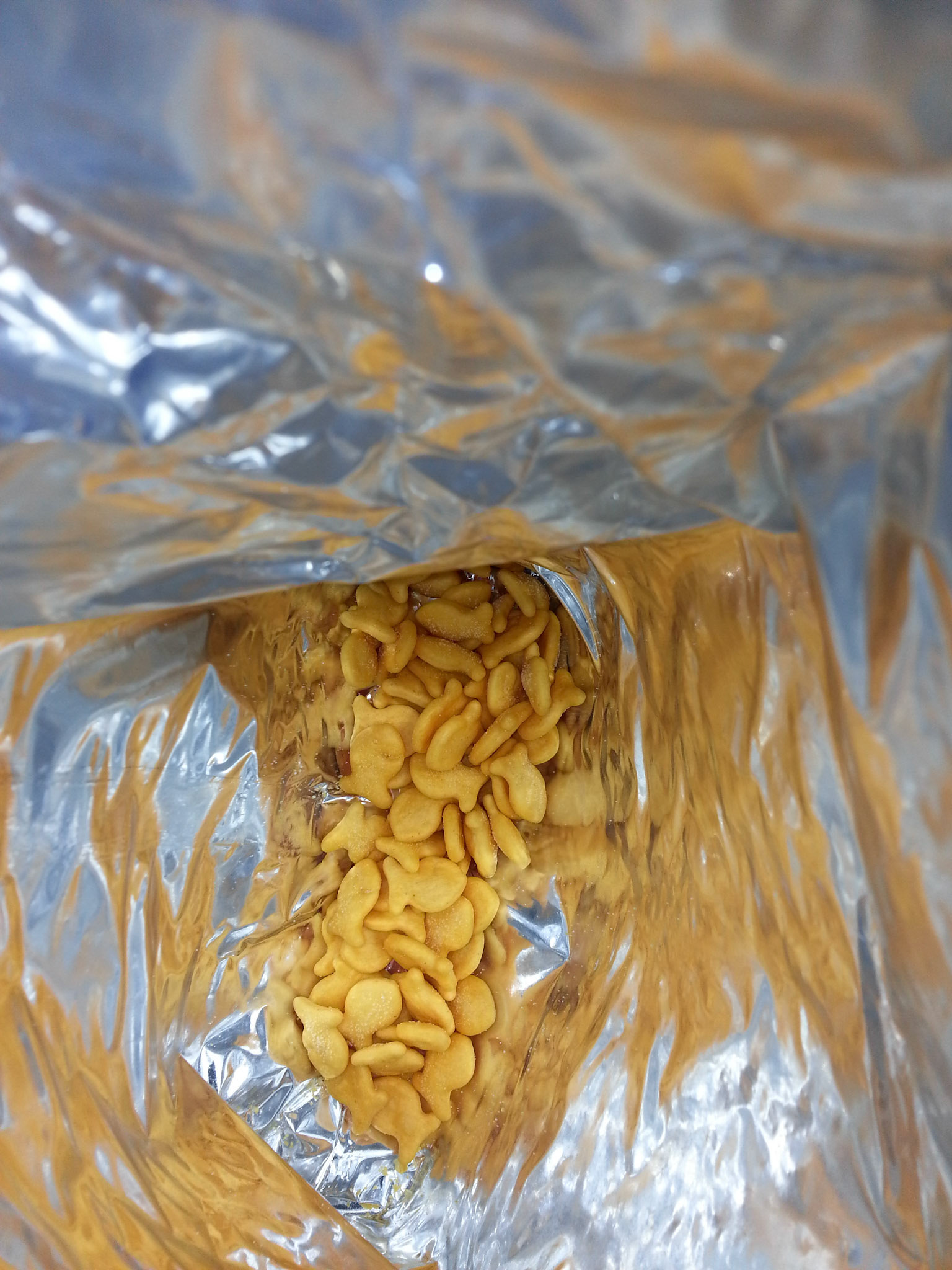 An Almost Empty Bag of Pepperidge Farm Goldfish; evidence of a past addiction to these little snack crackers.
