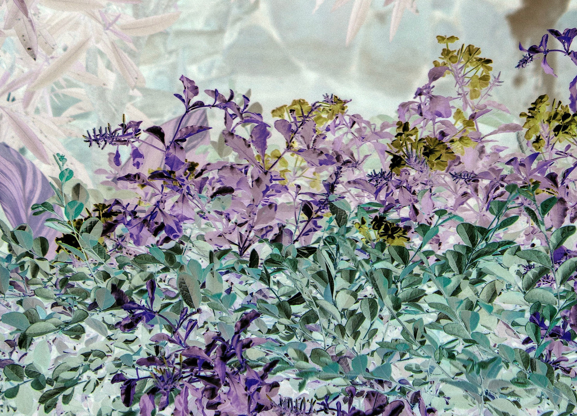 Positively Negative - Kemah, Texas