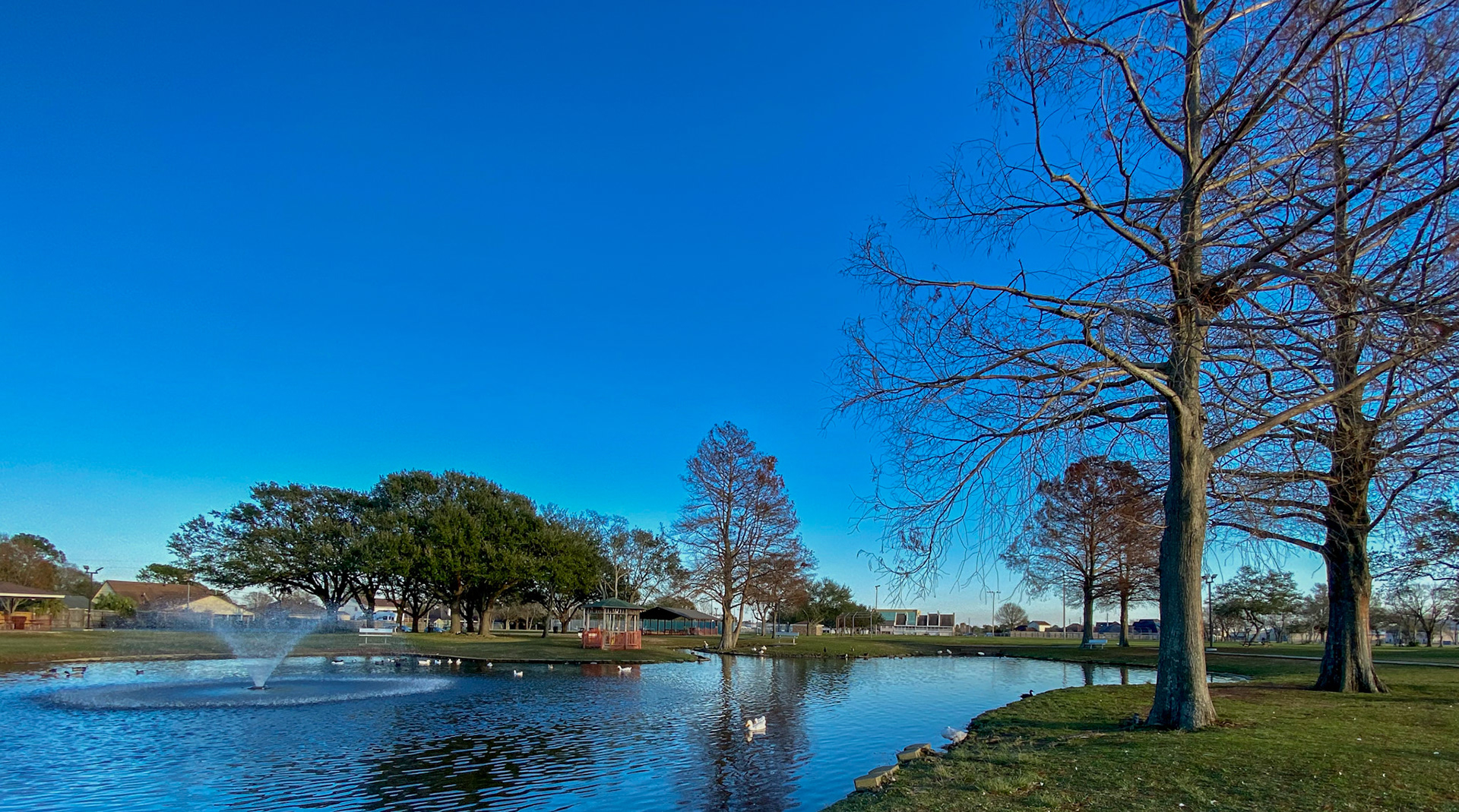 Texas Winter at C Doornbos Park - Nederland, Texas