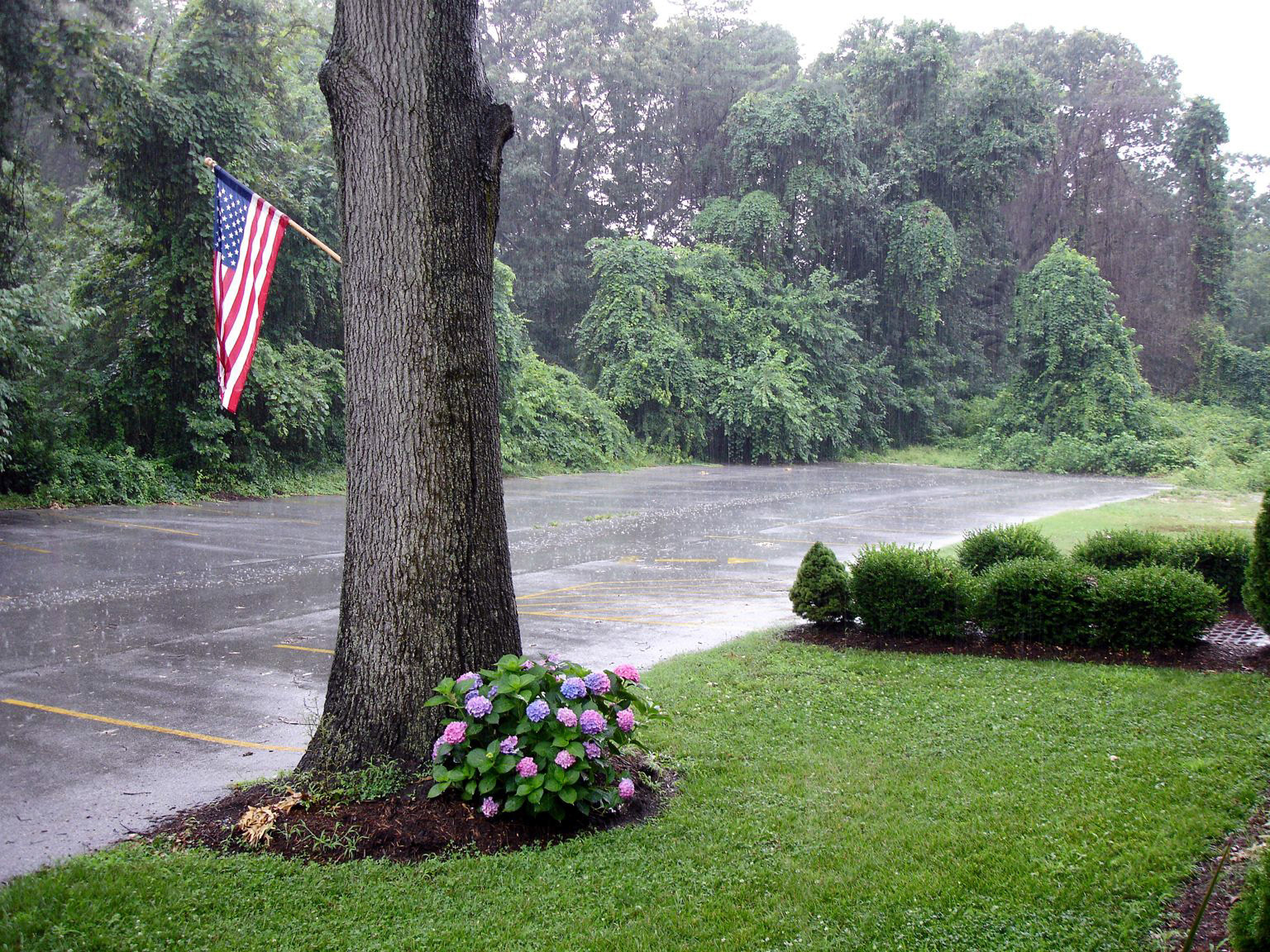 Parking Lot on a Rainy Saturday - Pasadena, Maryland