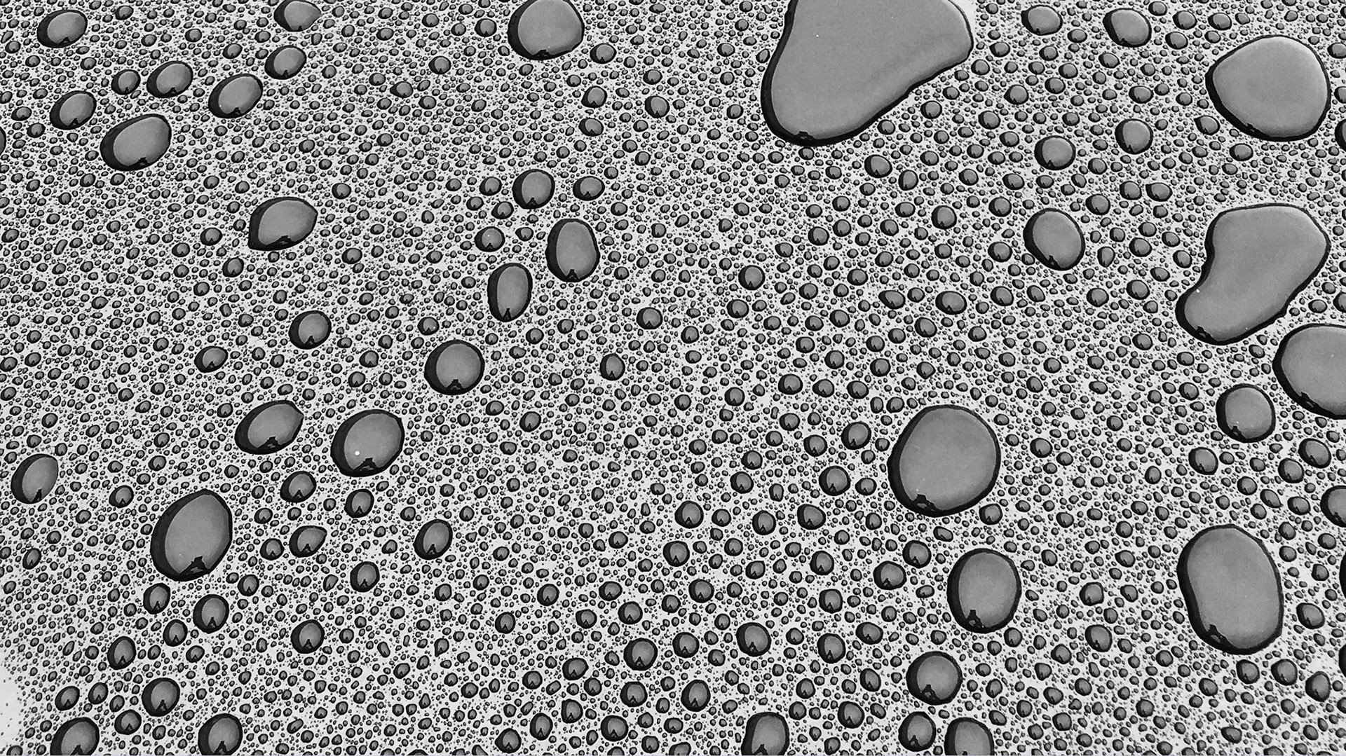 Two thousand tiny hands holding a thousand tiny cameras - Jessup, Maryland