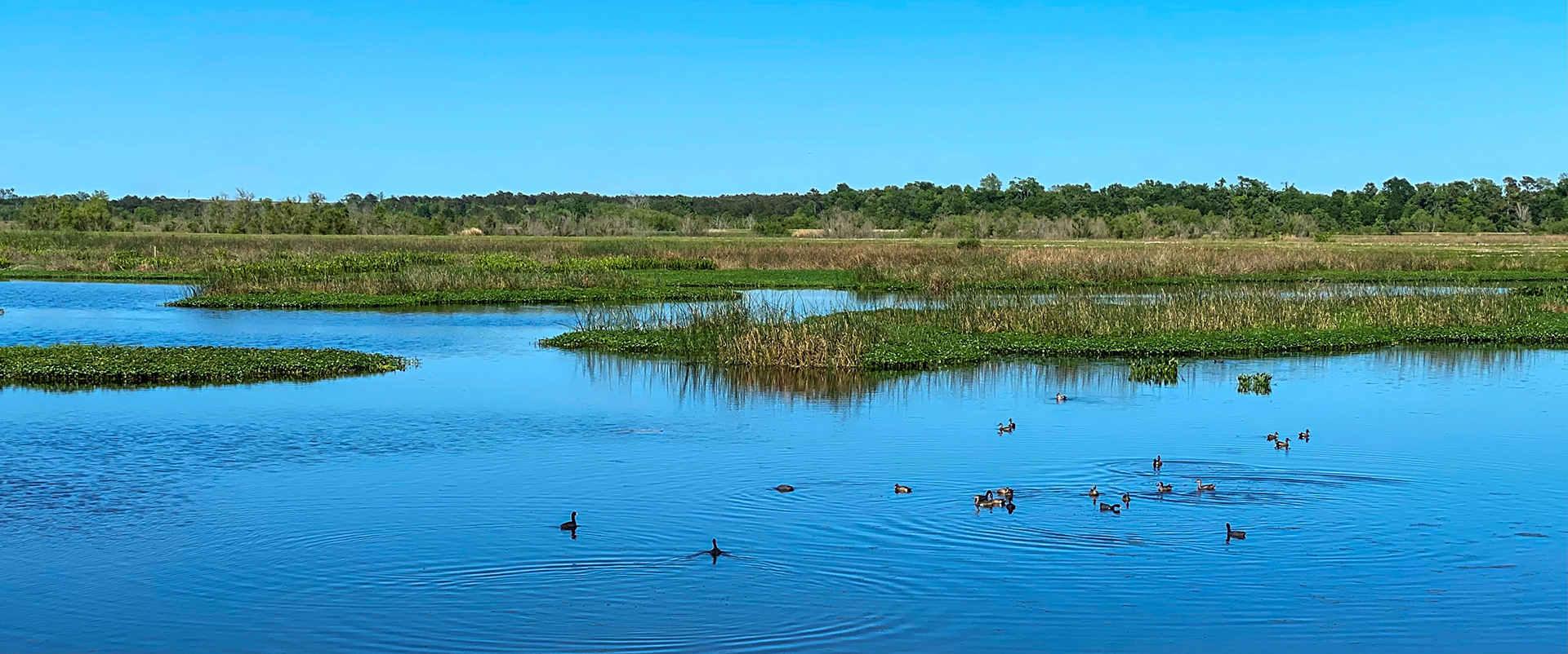 Tyrrell Park and Cattail Marsh - Beaumont, Texas