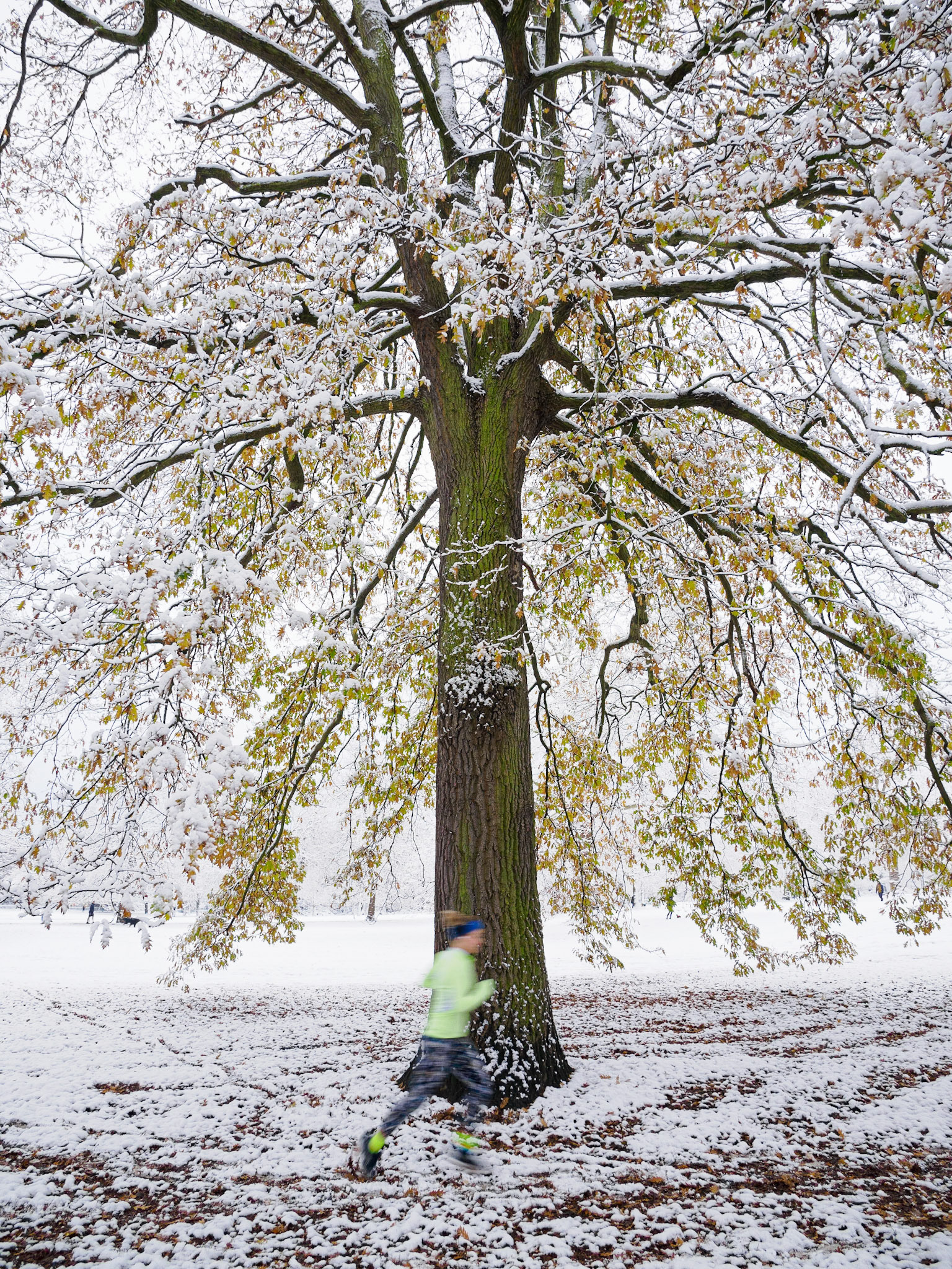 Hyde Park, London