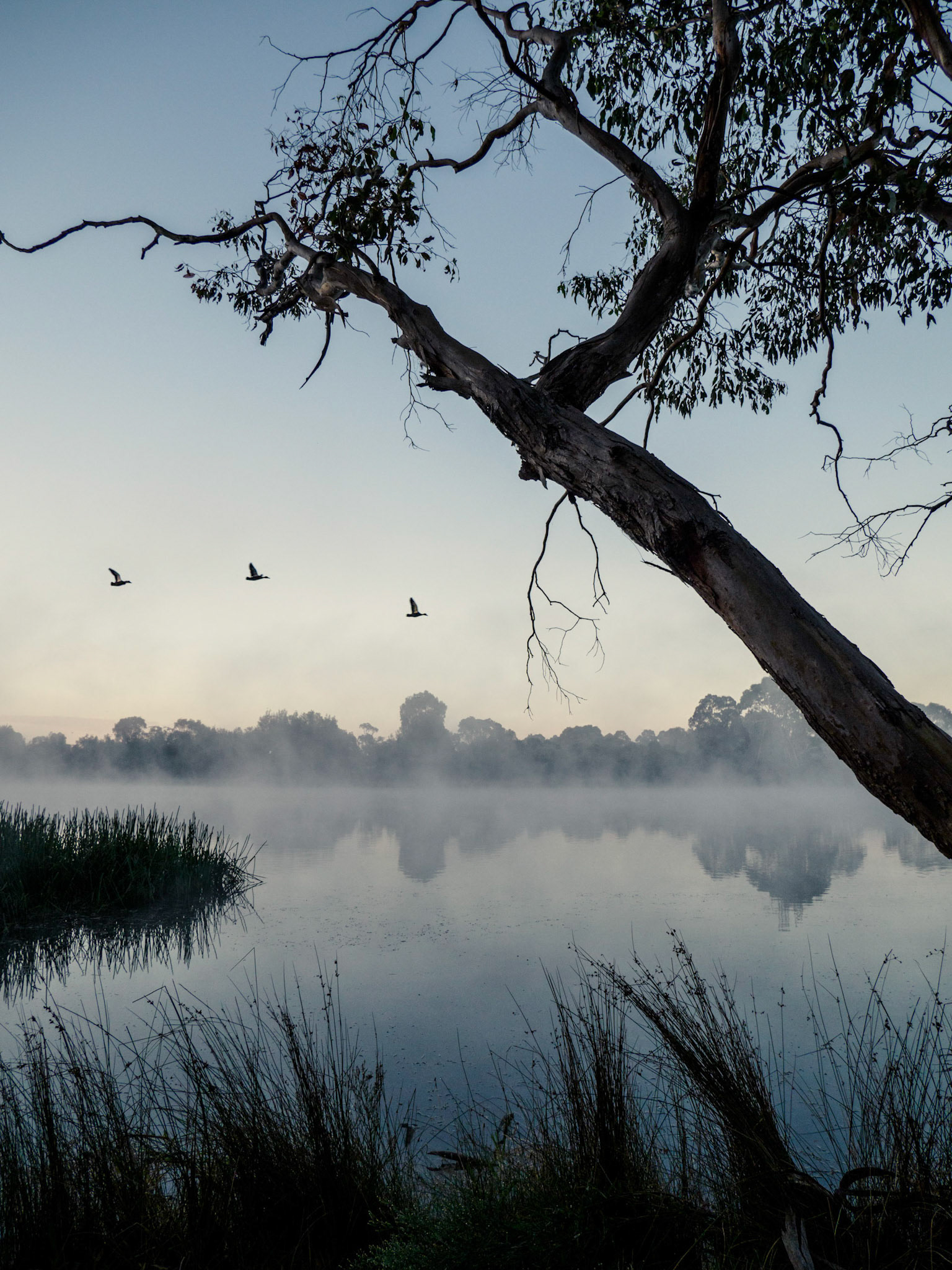 Jells Park, Melbourne 2021