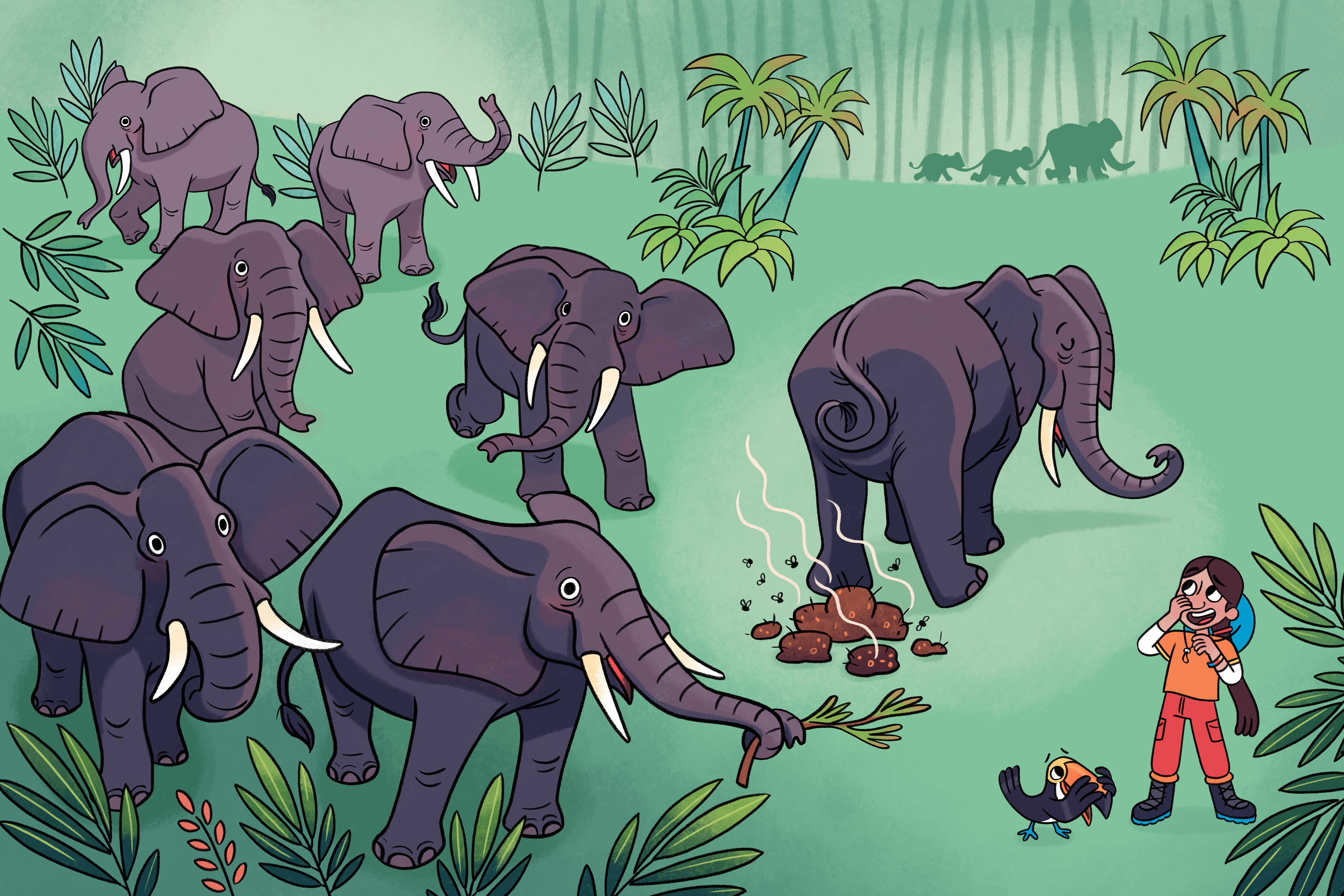 Fact Finders: Rainforest (DK)