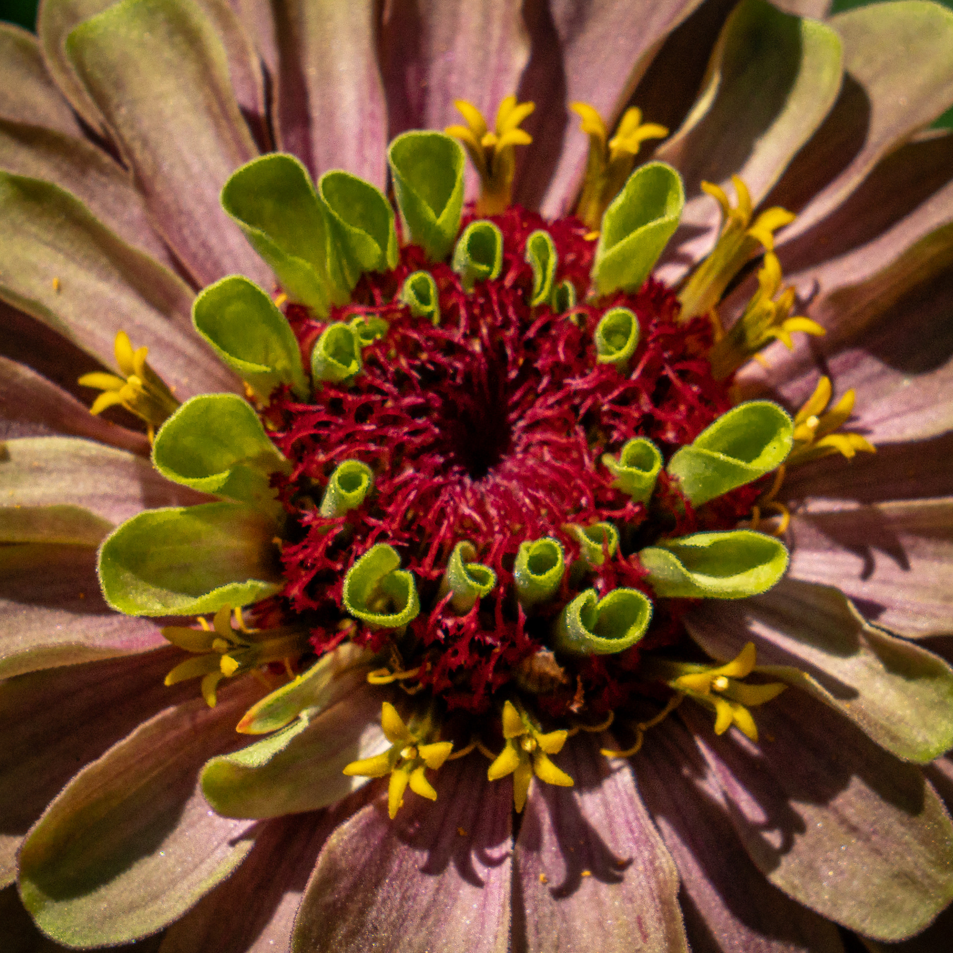Longwood Gardens, Kennett Square, PA