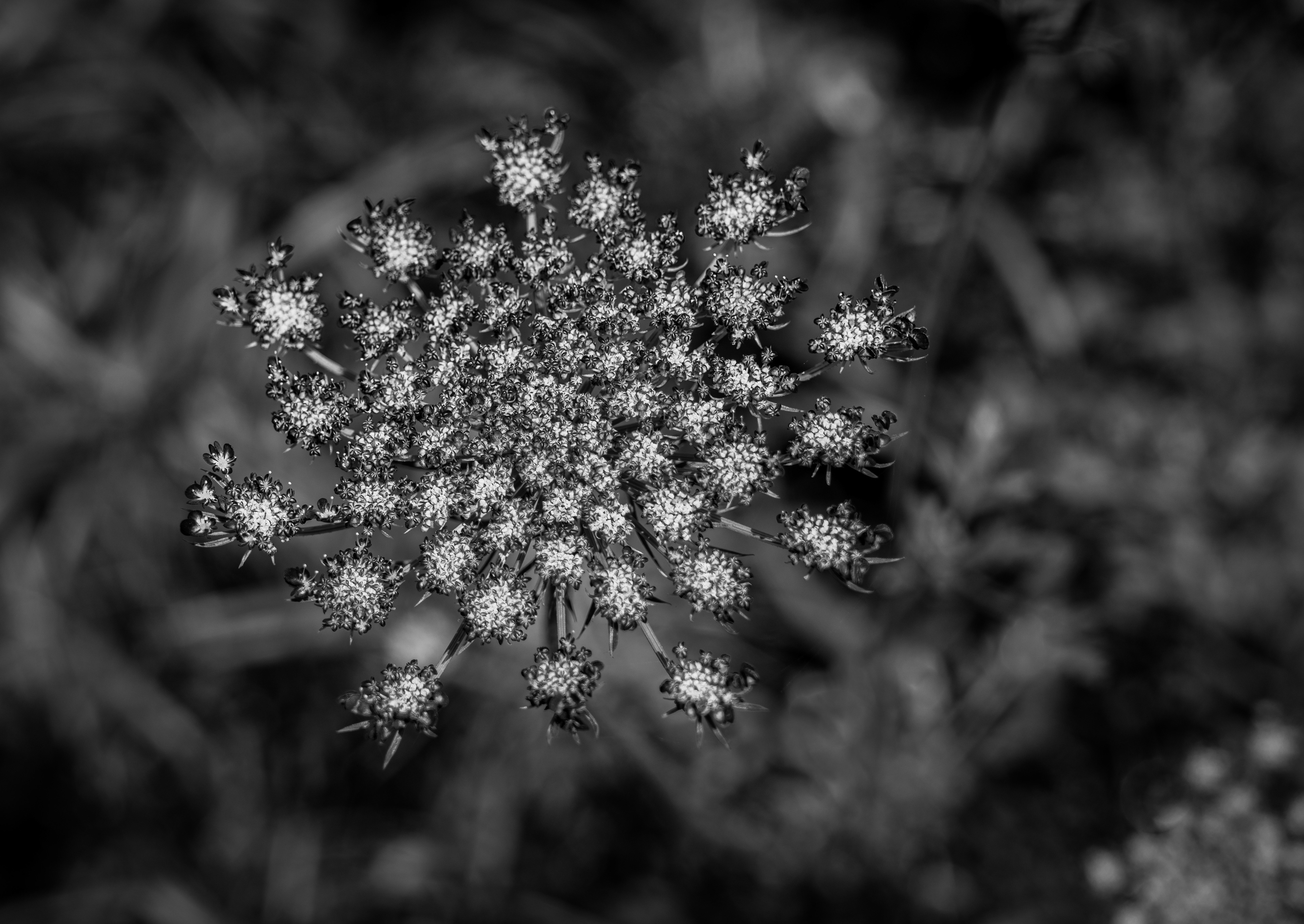 Longwood Gardens, Kennett Square, PA