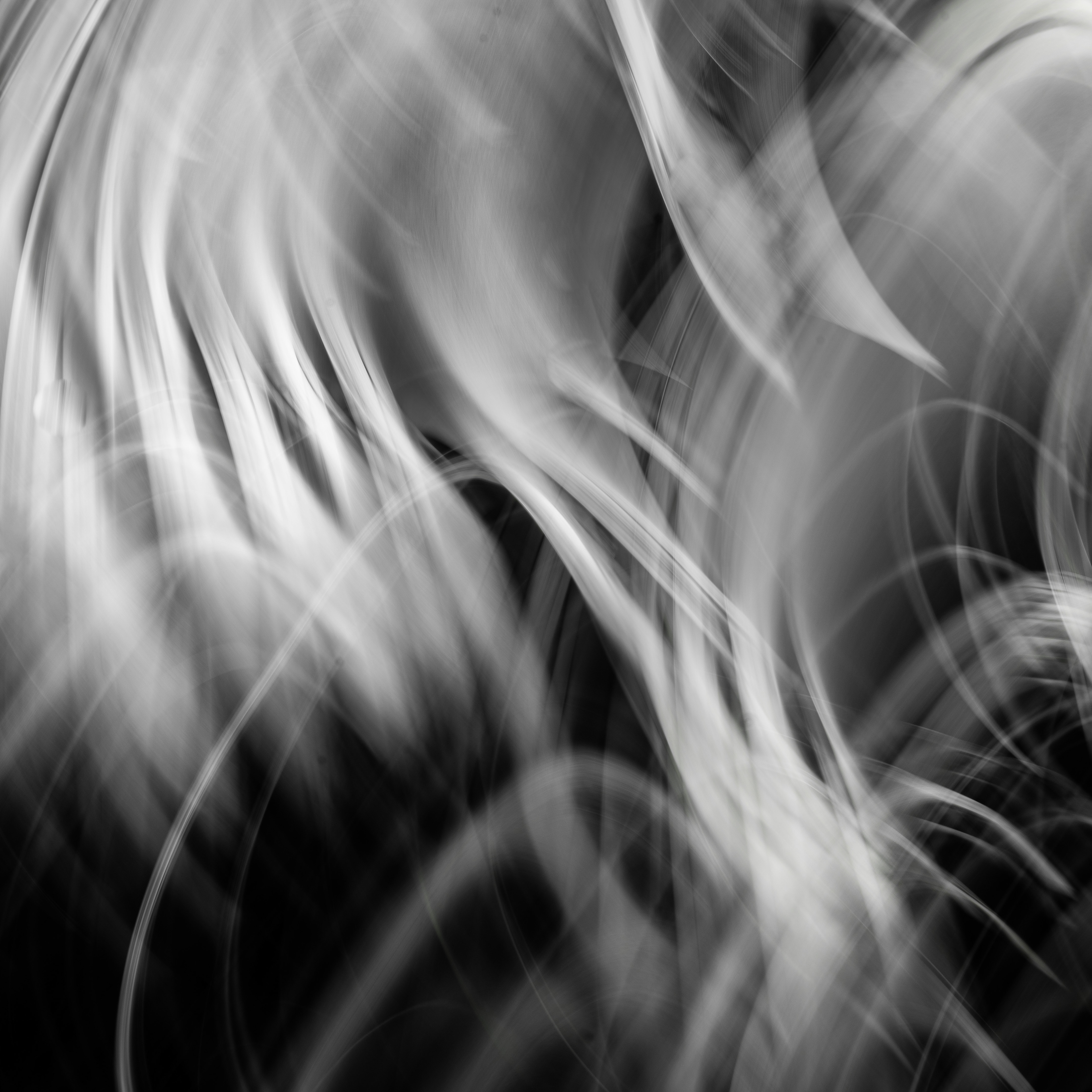 University of California Botanical Garden, Berkeley, CA