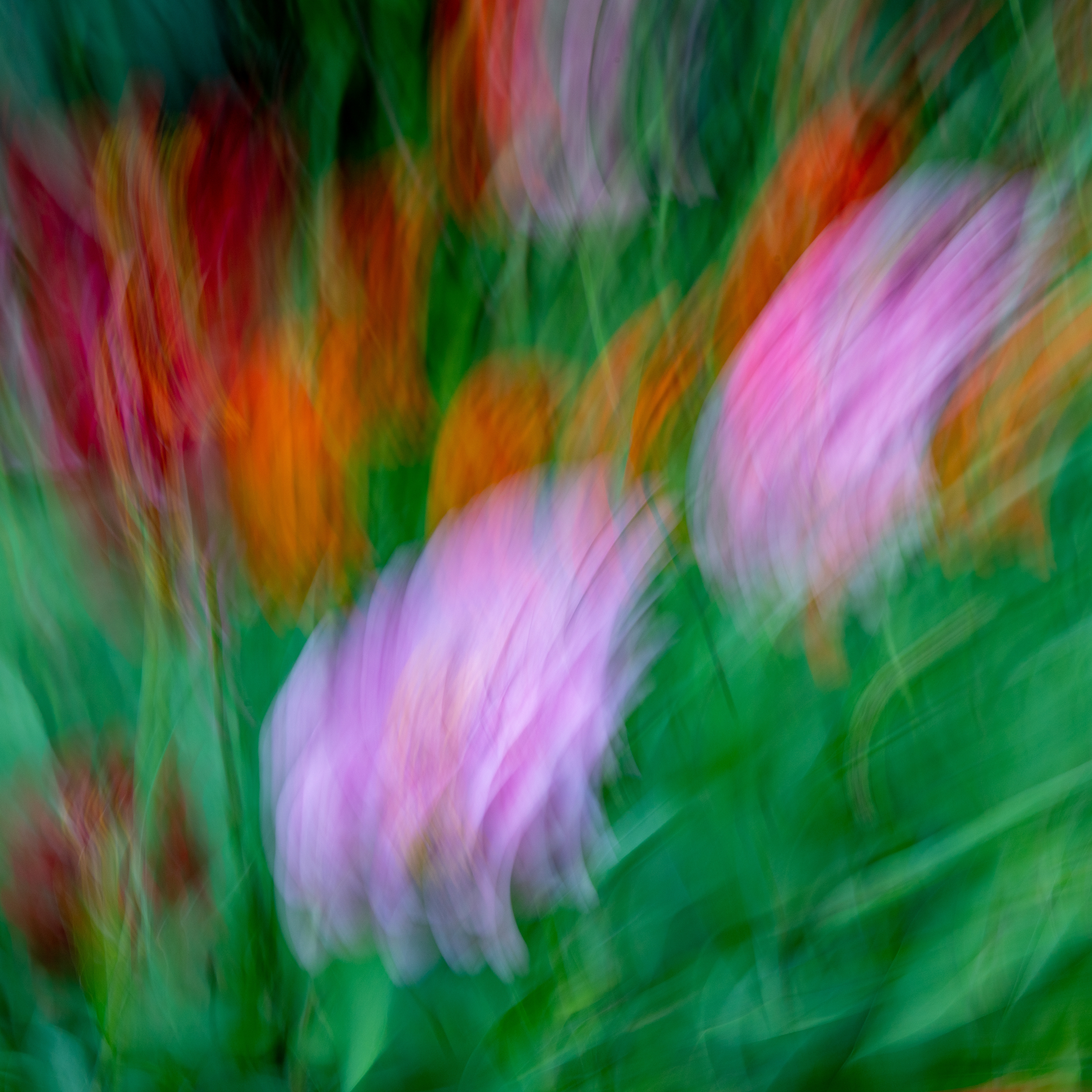 Brookside Gardens, Wheaton, MD