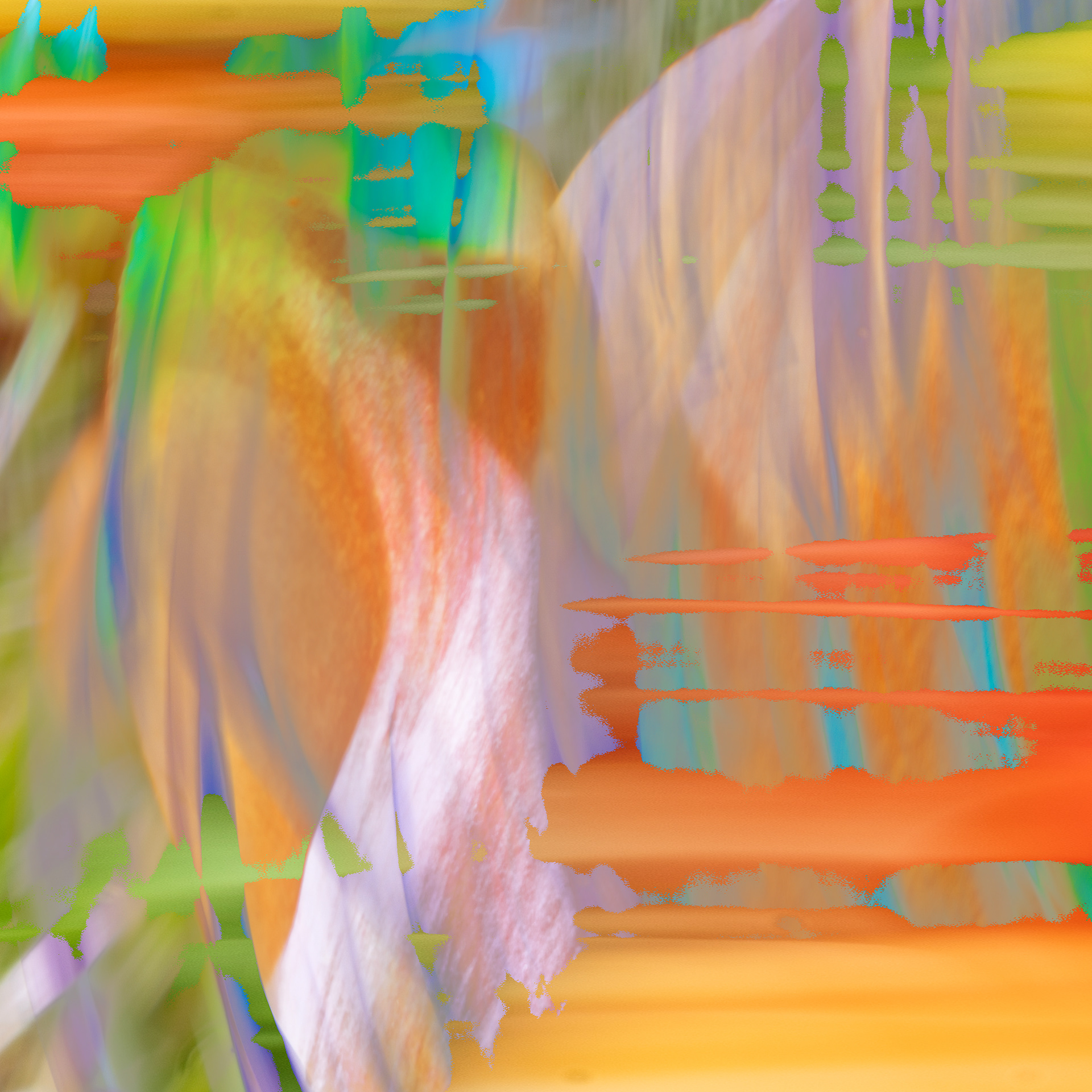 Brookside Gardens, Wheaton, MD