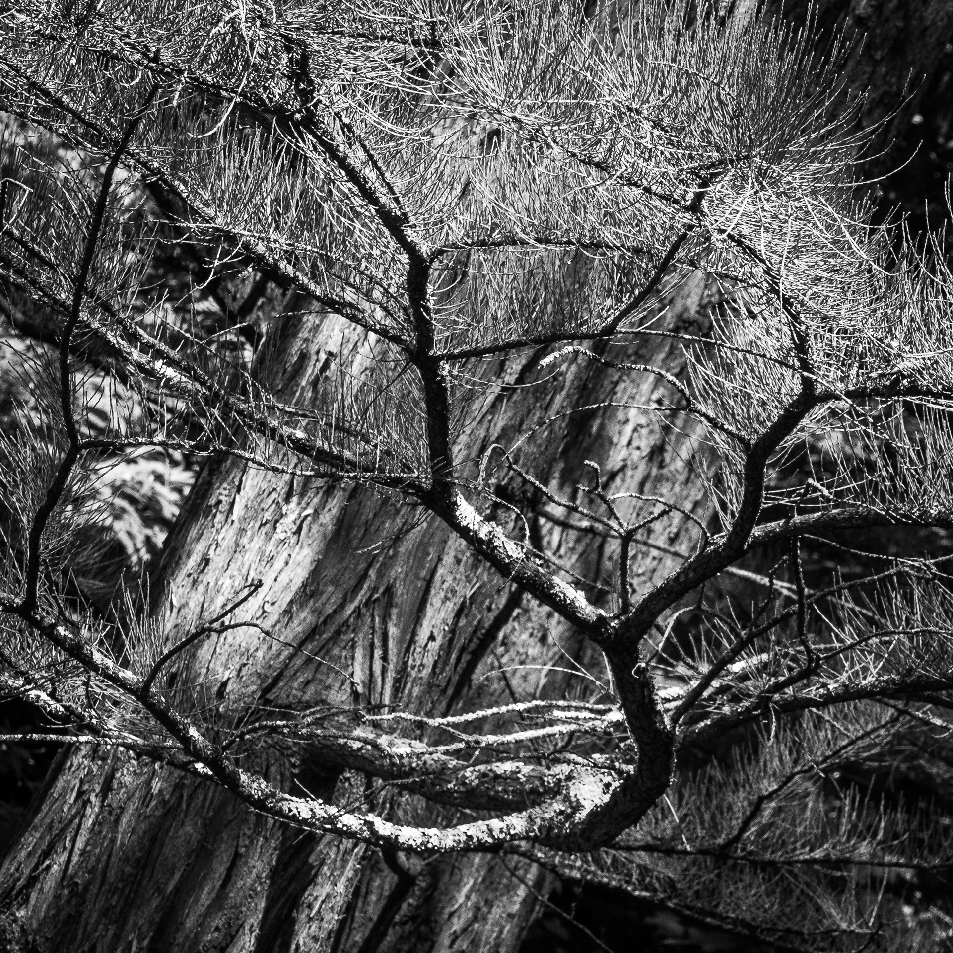 Longwood Gardens, Kennett Square, PA