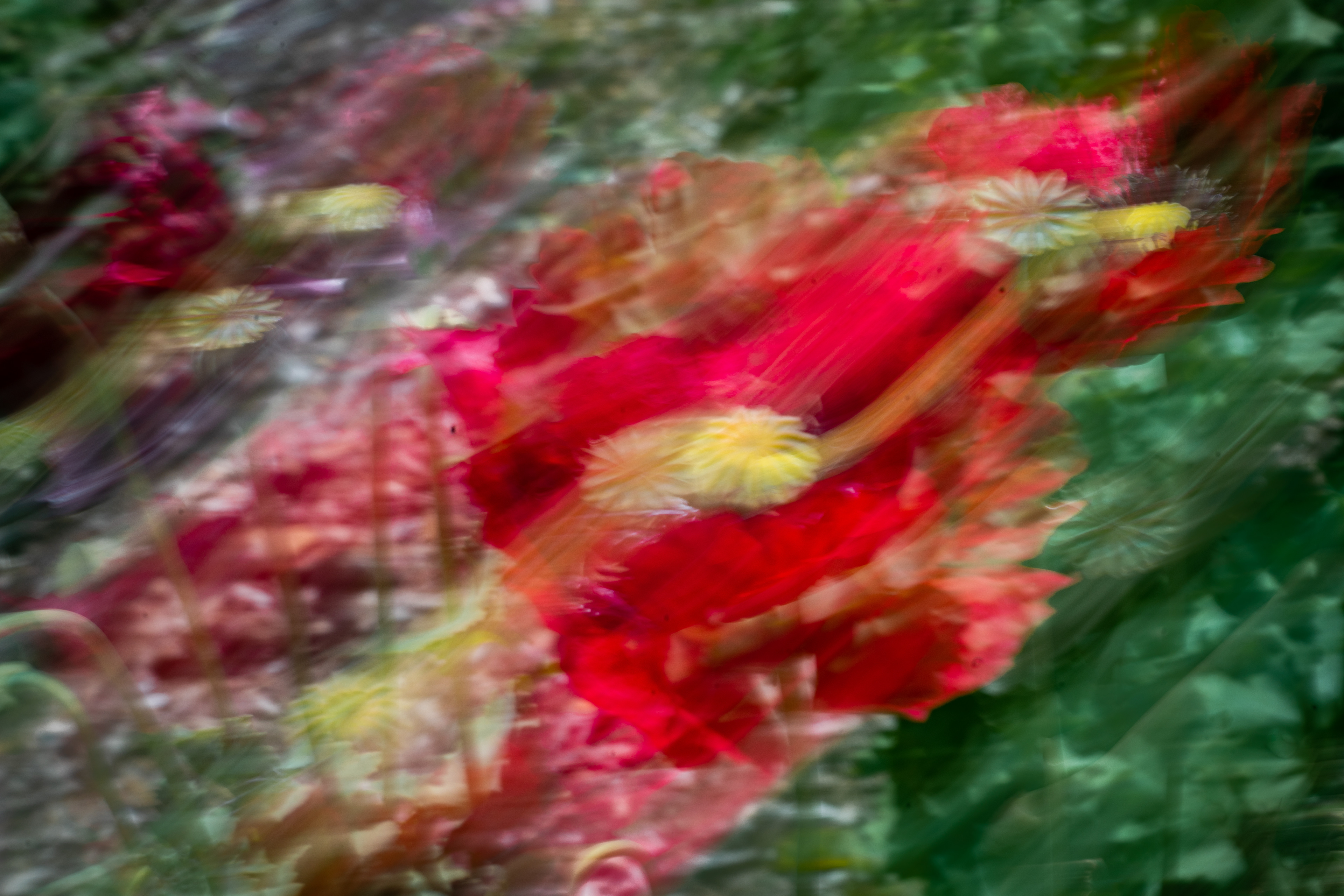 University of California Botanical Garden, Berkeley, CA