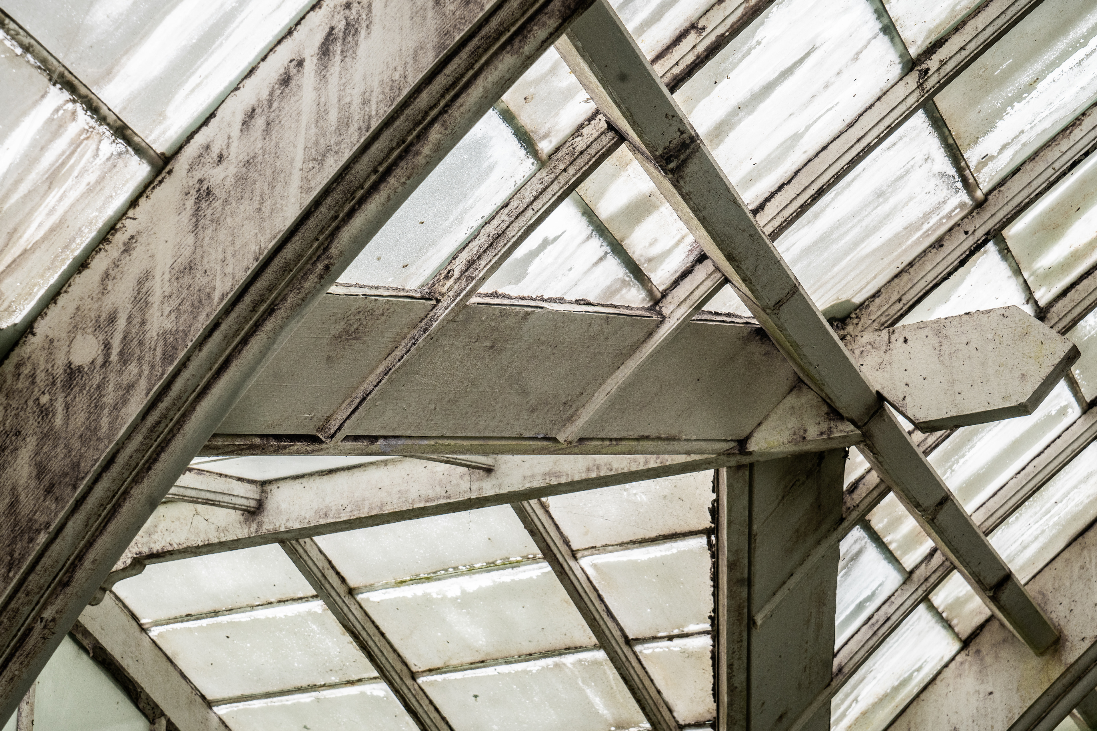 Flower Conservatory, Golden Gate Park, San Francisco, CA