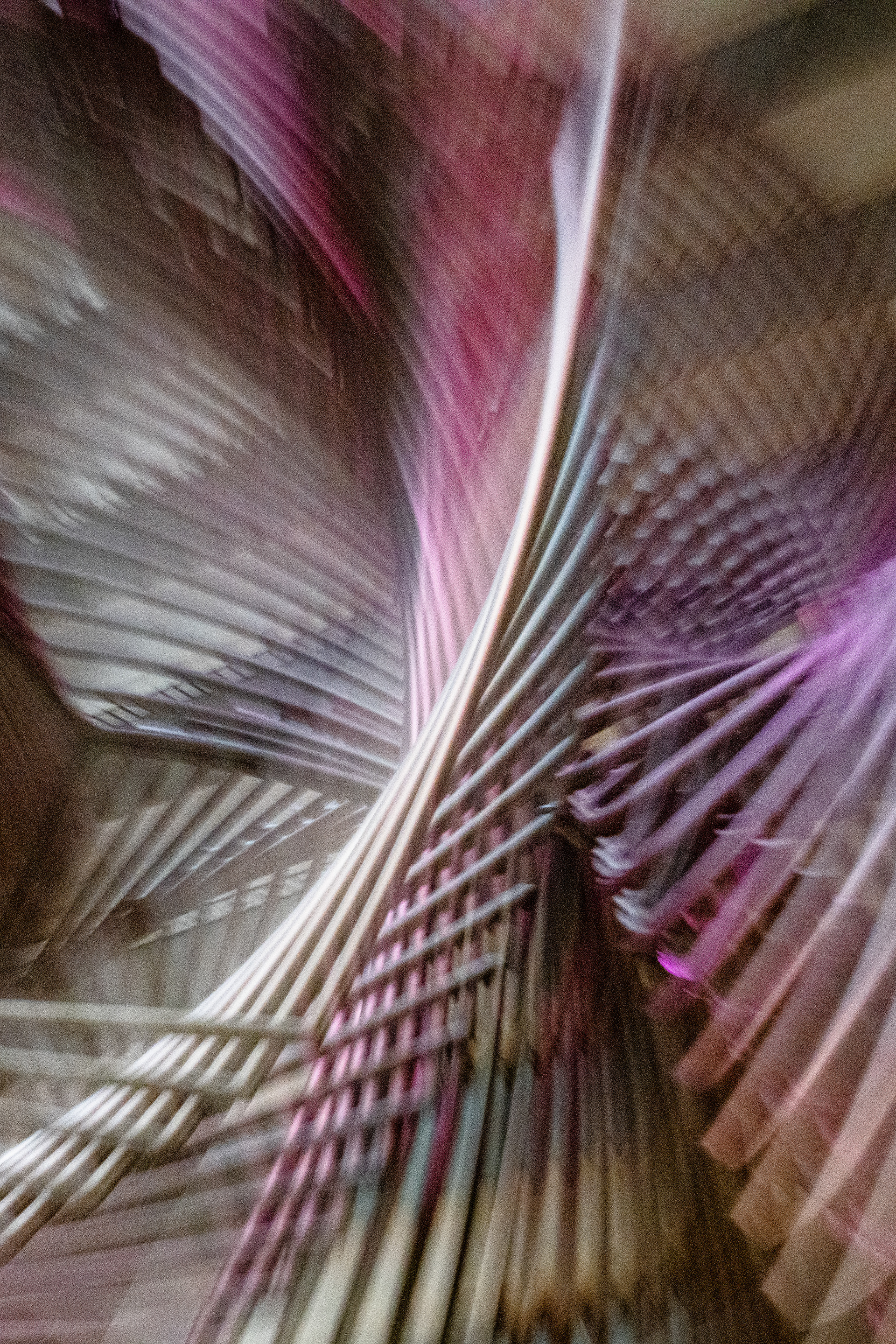 Hyatt, San Francisco