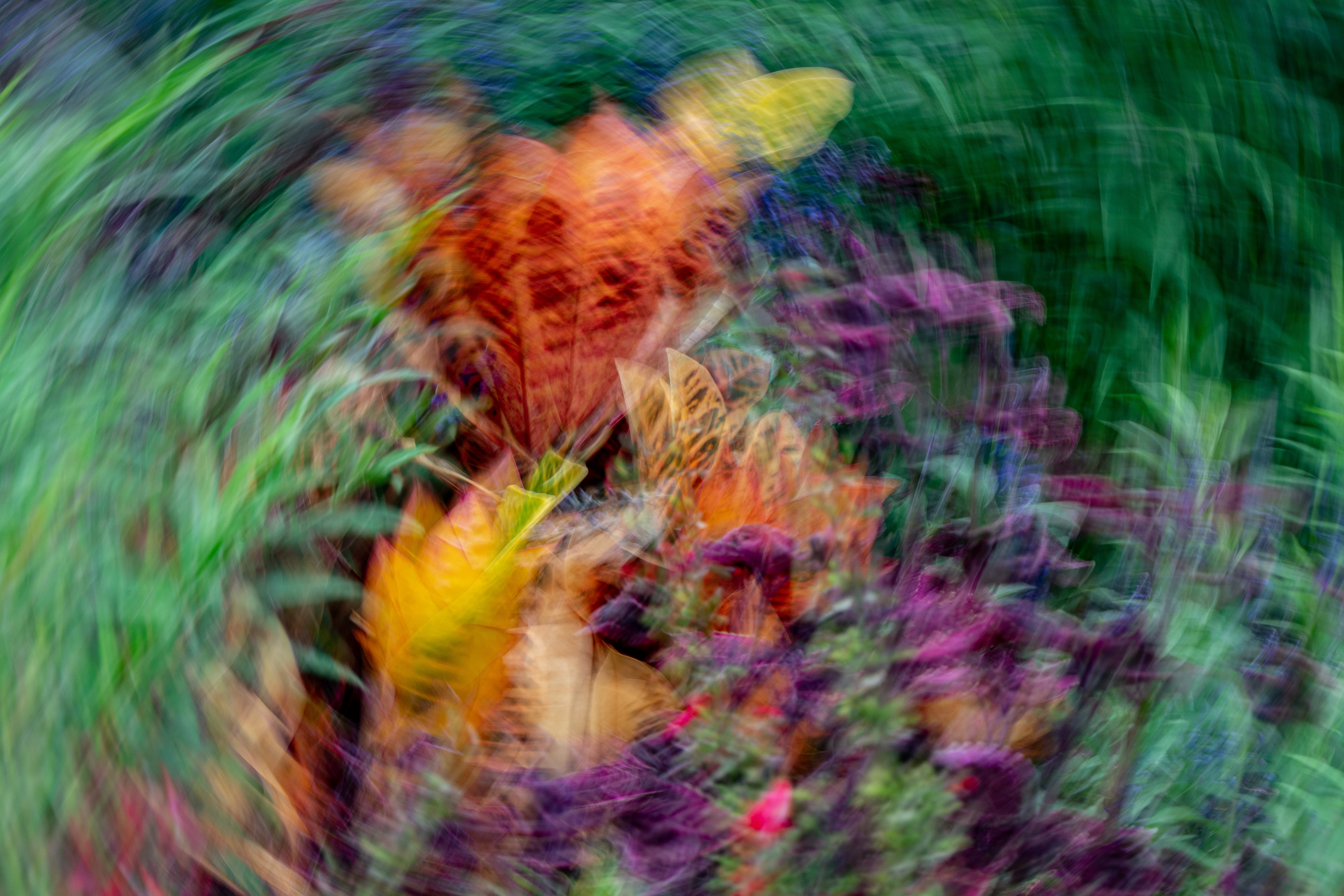 Brookside Gardens, Wheaton, MD