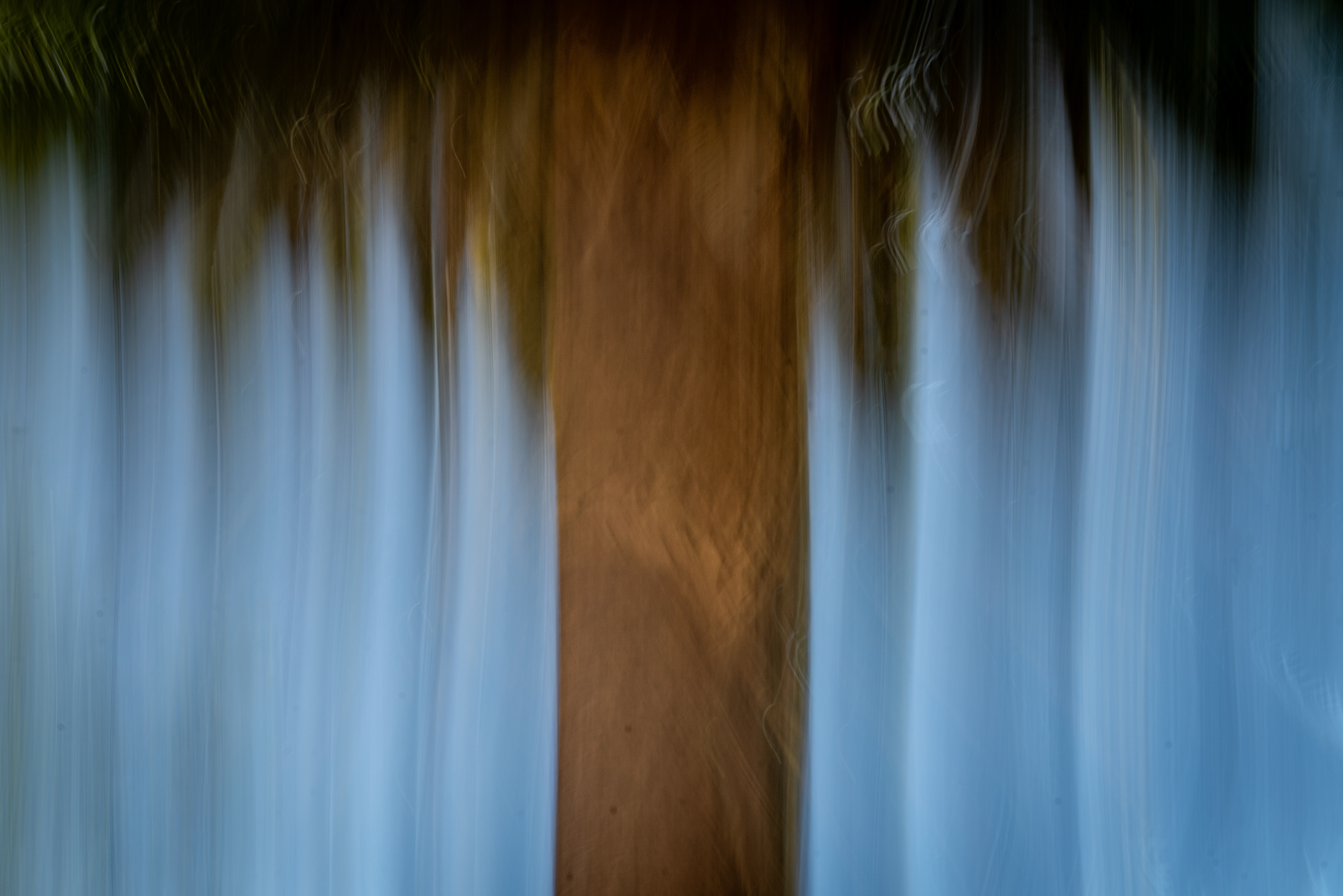 University of California Botanical Garden, Berkeley, CA