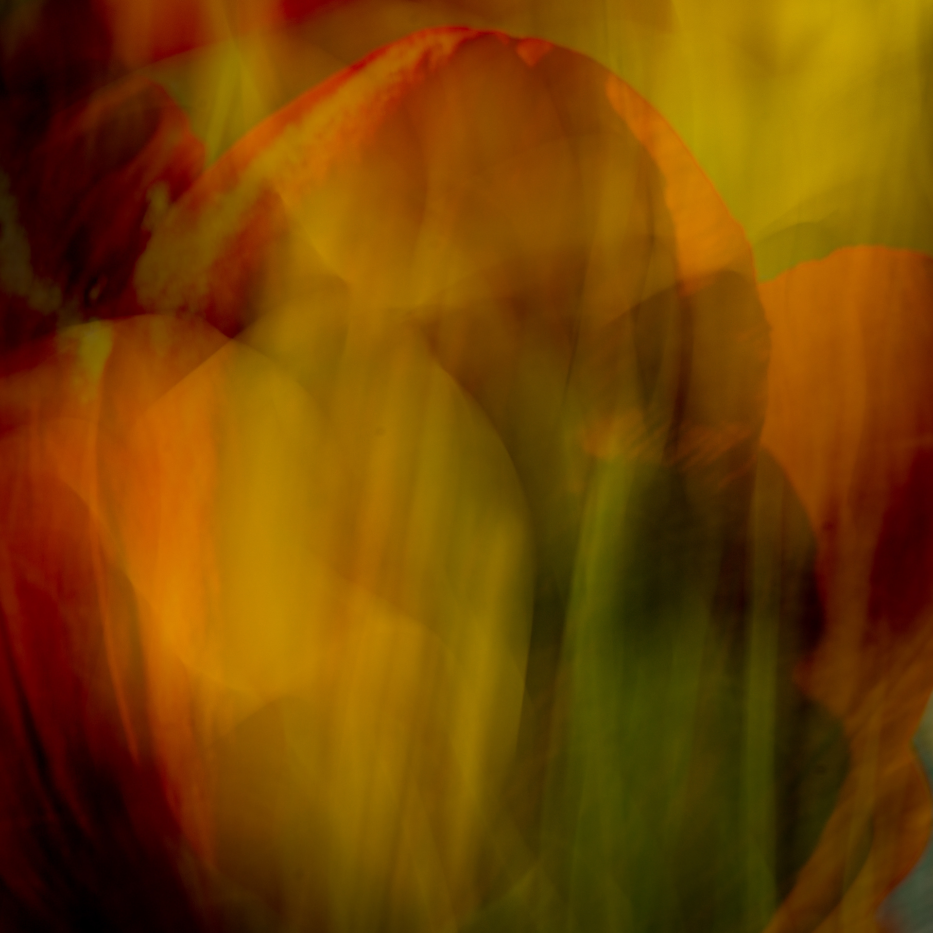 Brookside Gardens, Wheaton, MD