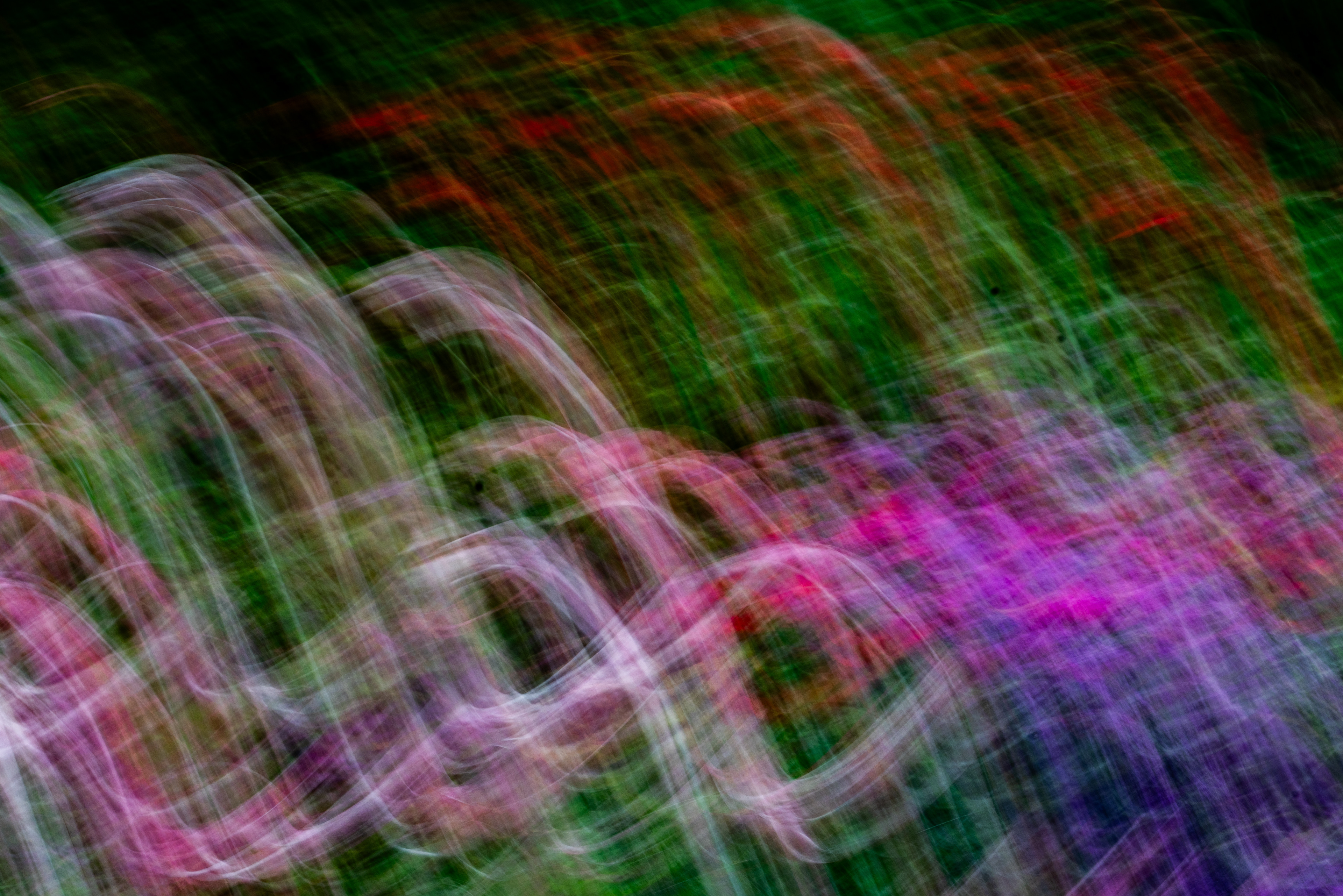 University of California Botanical Garden, Berkeley, CA