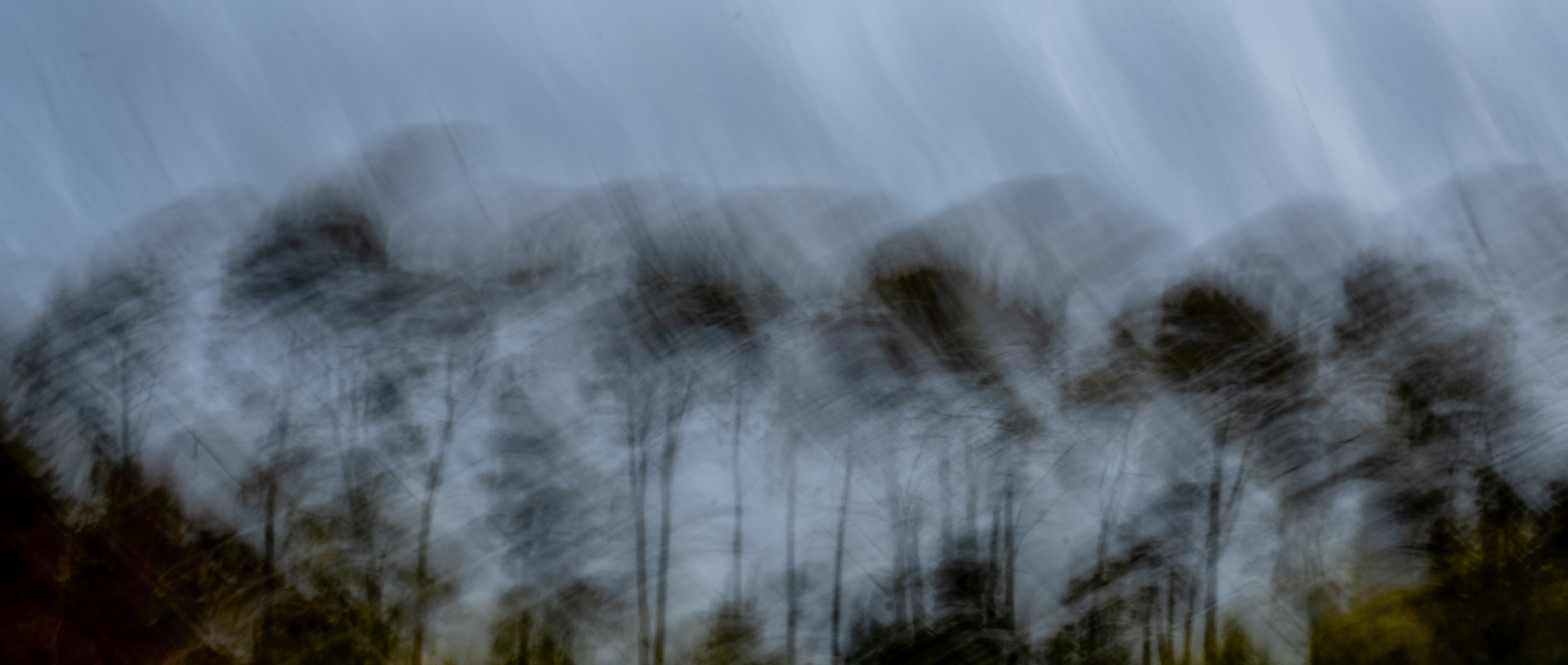 University of California Botanical Garden, Berkeley, CA