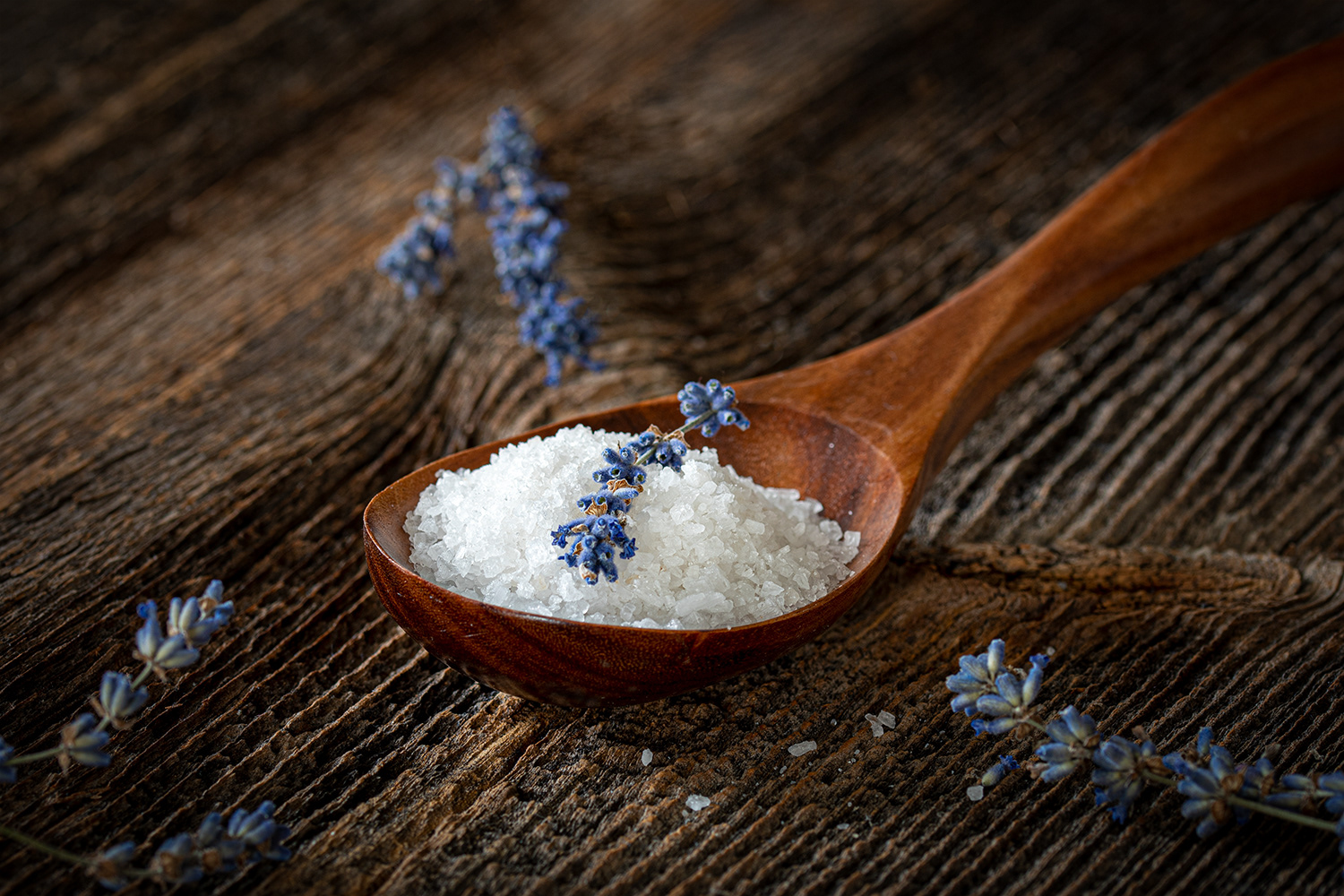 Lavendel-Salz