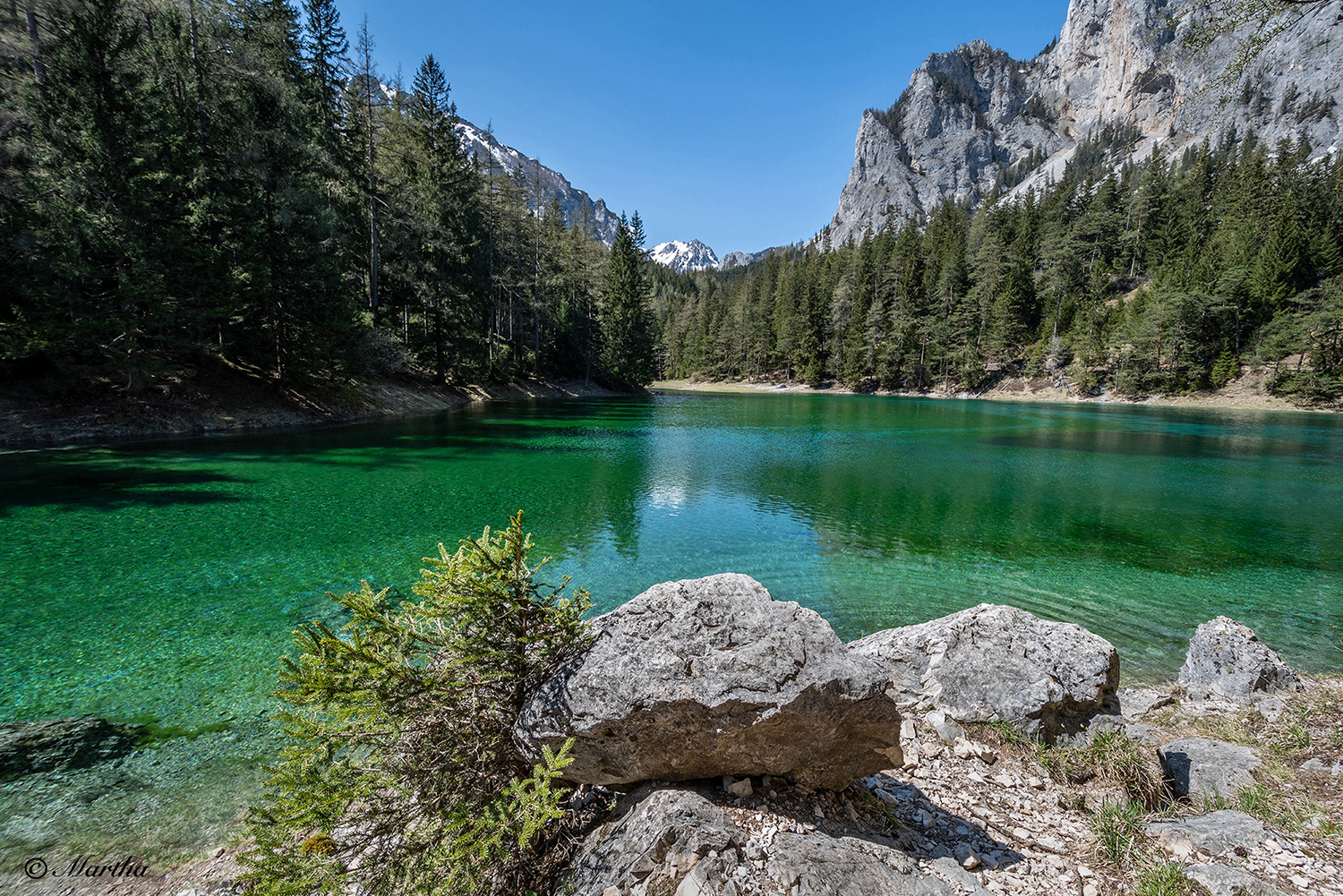 "Grüner See"