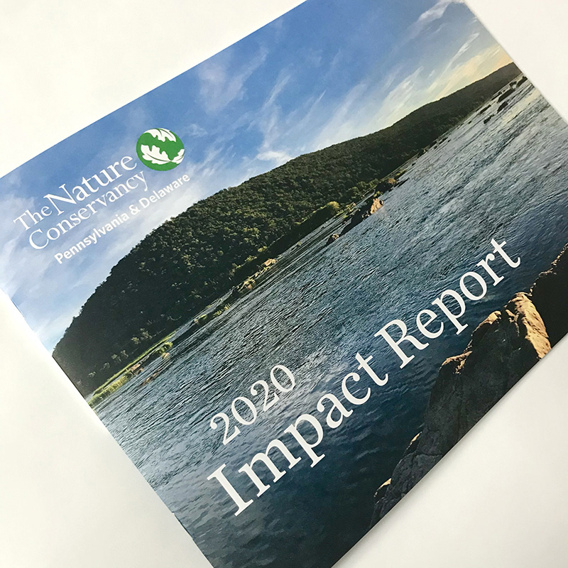 Annual Report