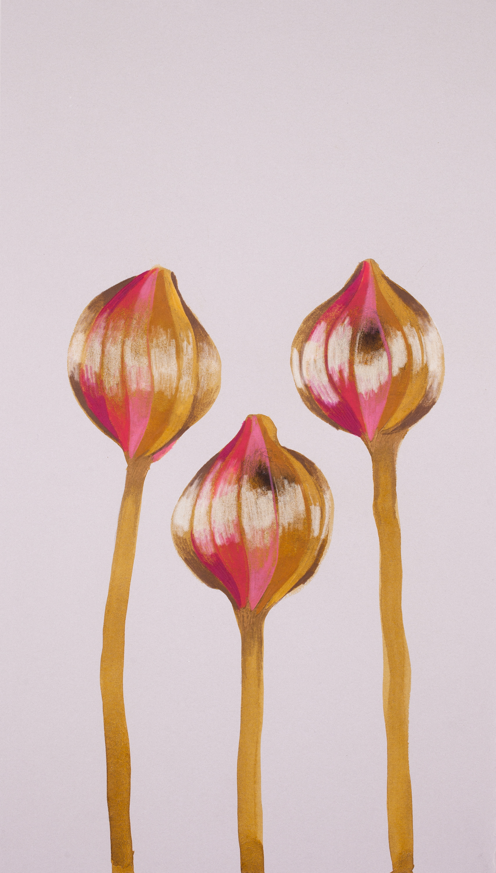 Three Buds