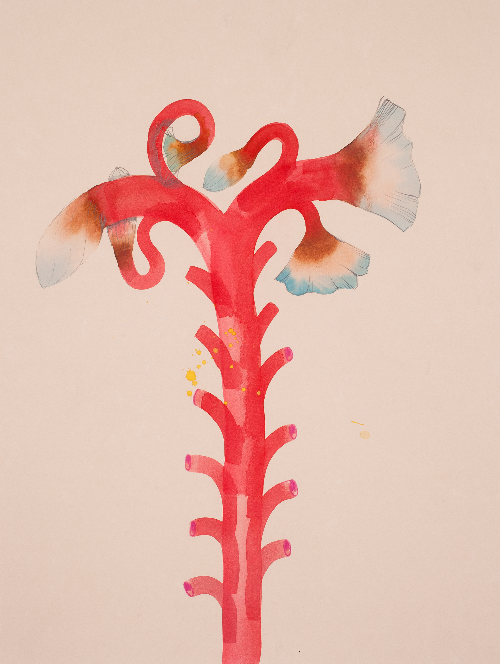 Aortic Blooms