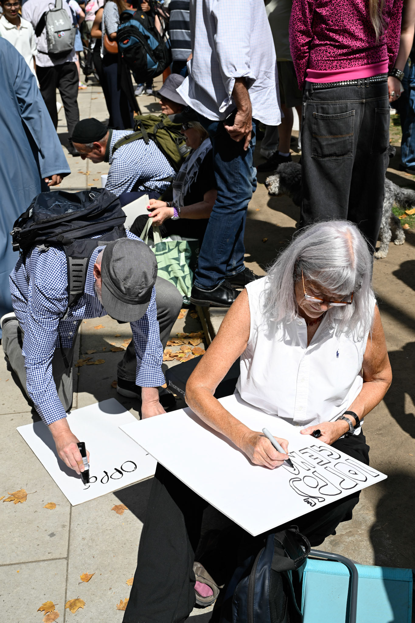 Hundreds of supporters of proscribed terrorist group Palestine Action were arrested on Parliament Square