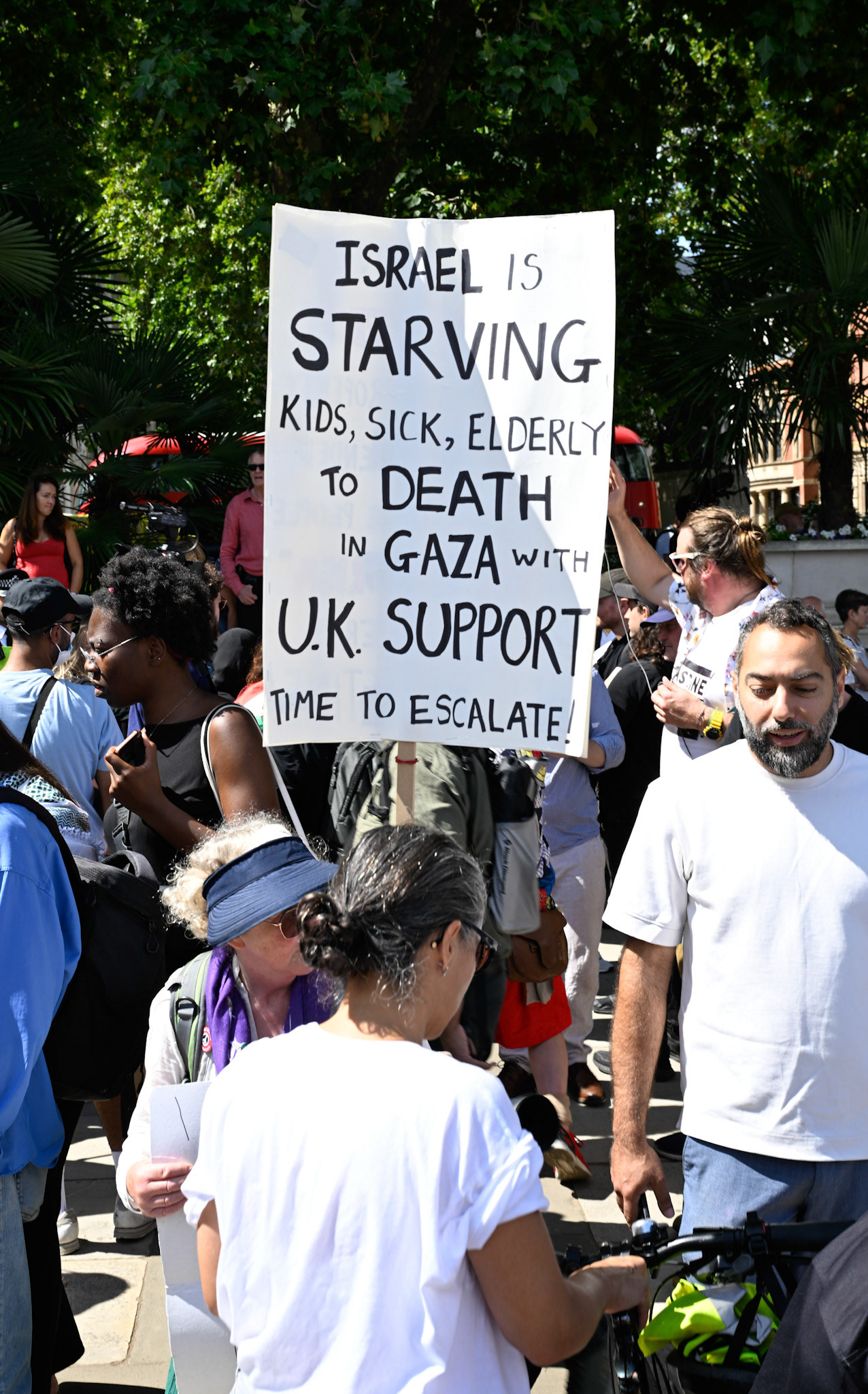 Hundreds of supporters of proscribed terrorist group Palestine Action were arrested on Parliament Square