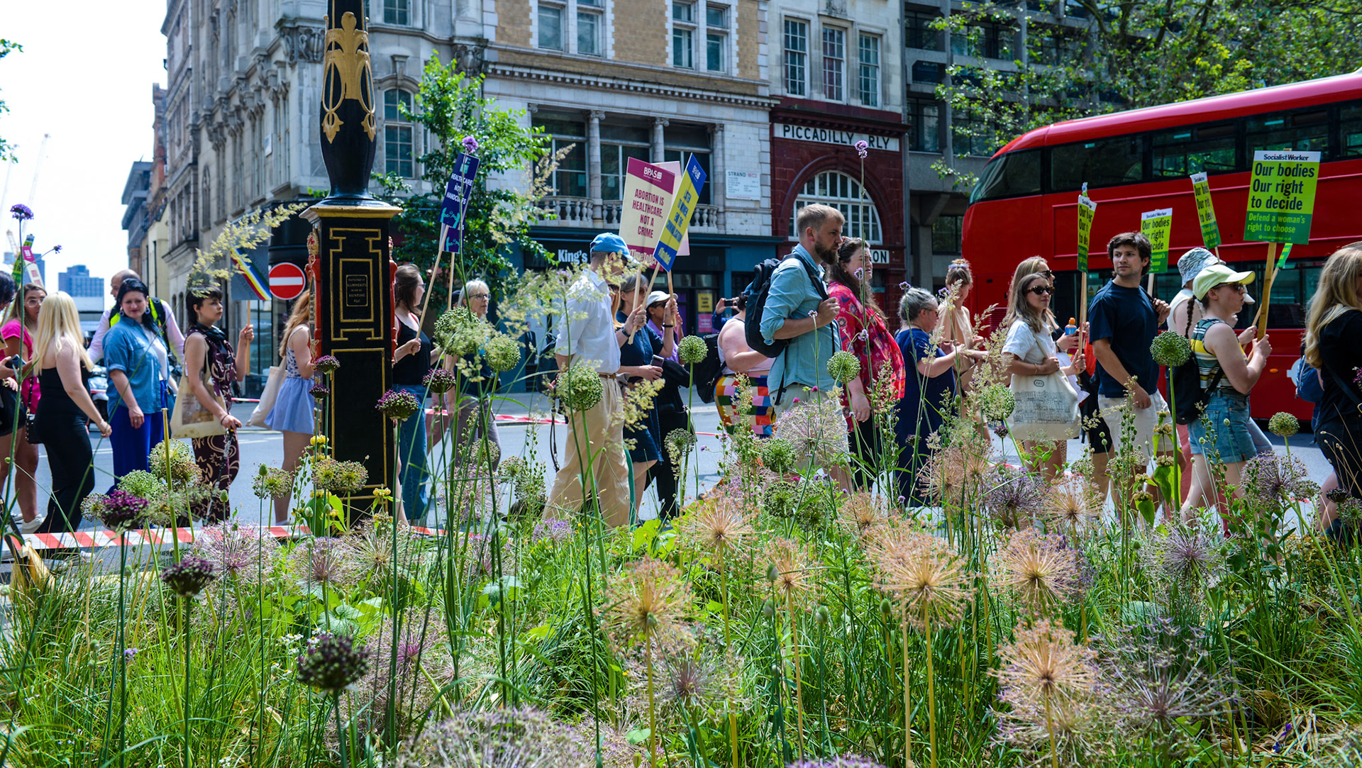 Abortion Law Reform March 17/06/23