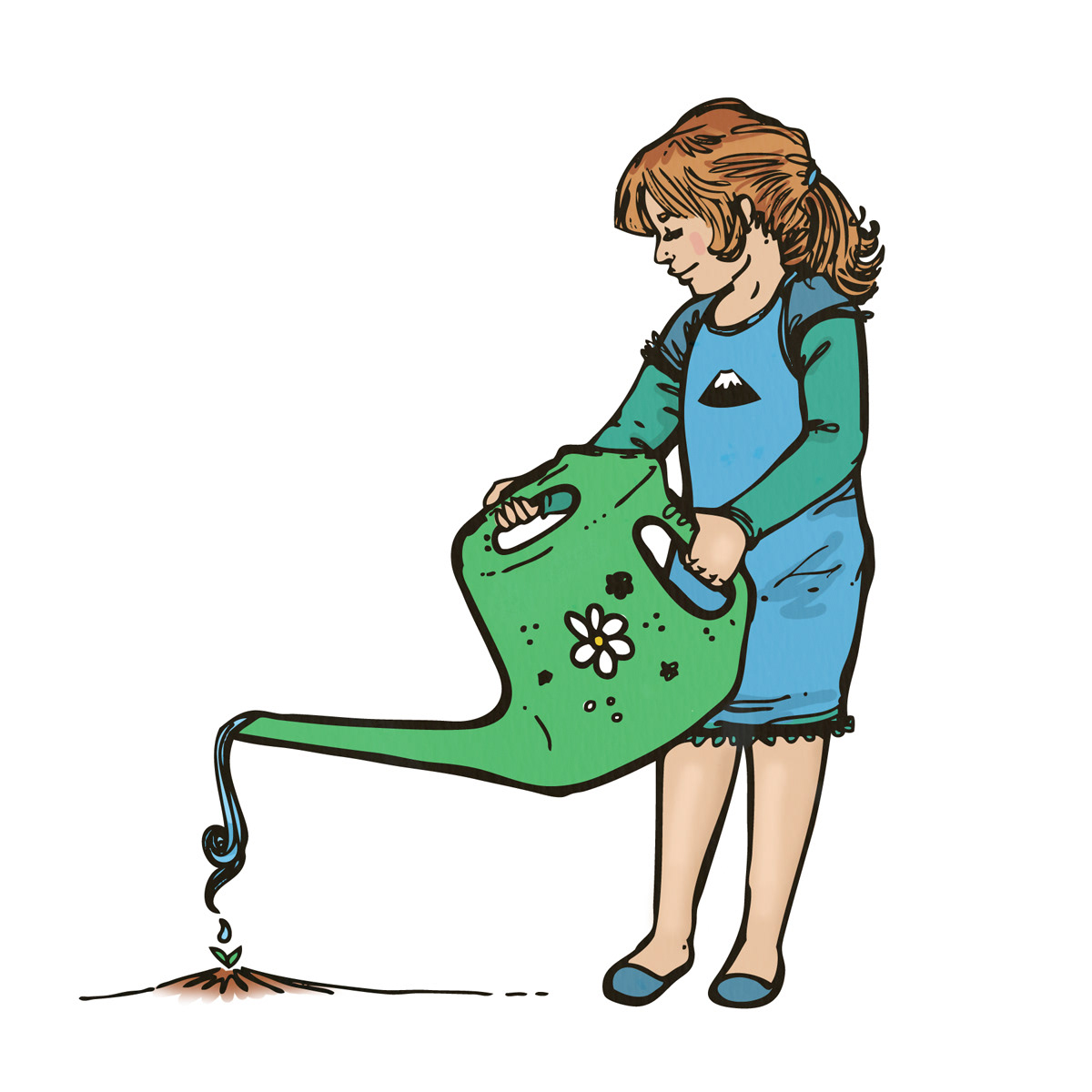 Plant Seeds