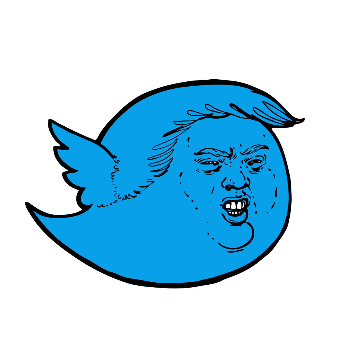 Tweet, Tweet