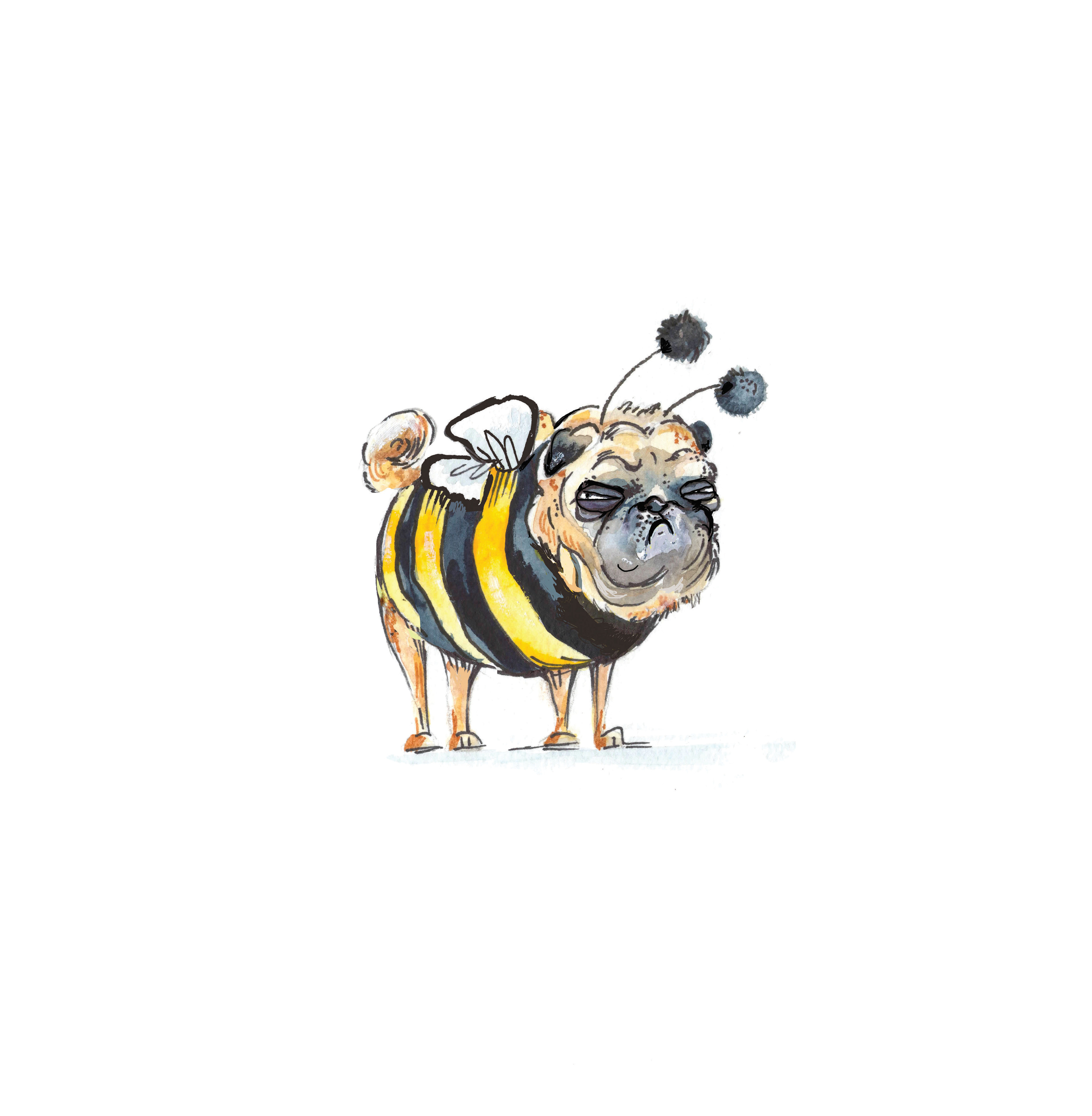 Pug Bug