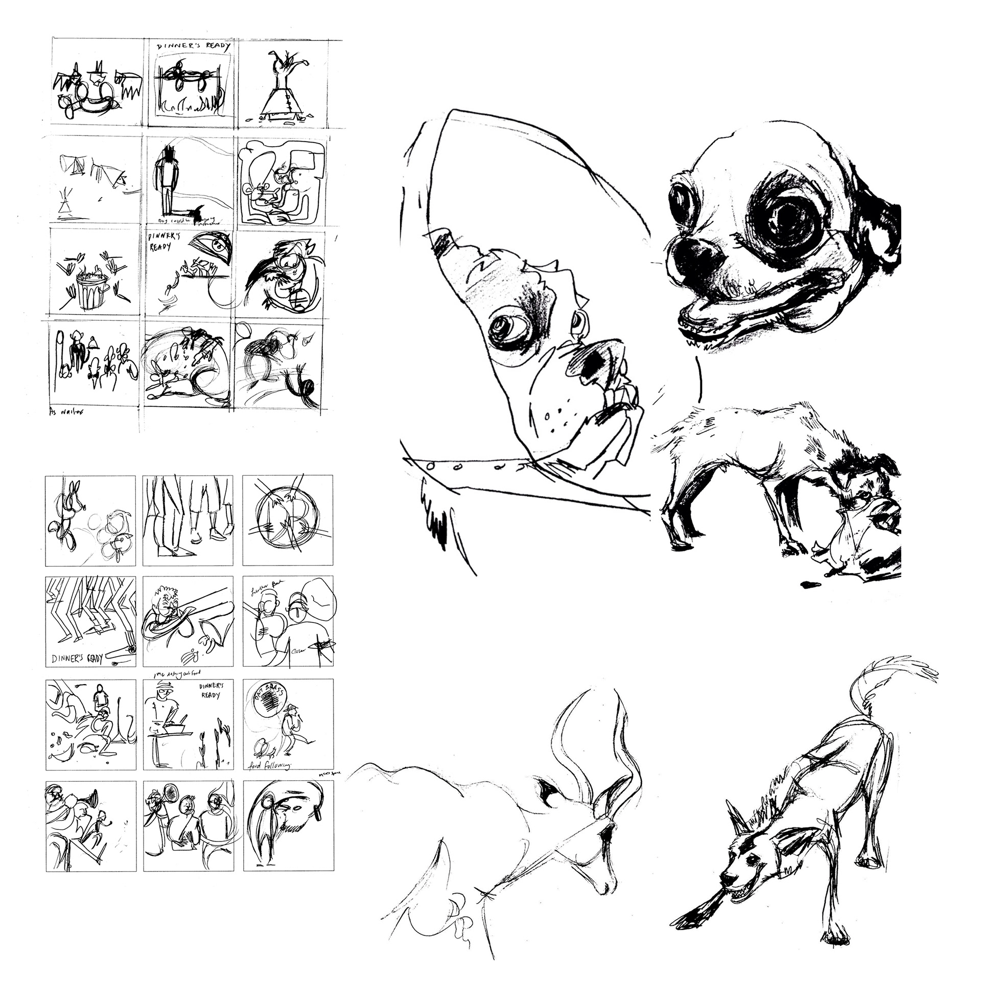 Studies