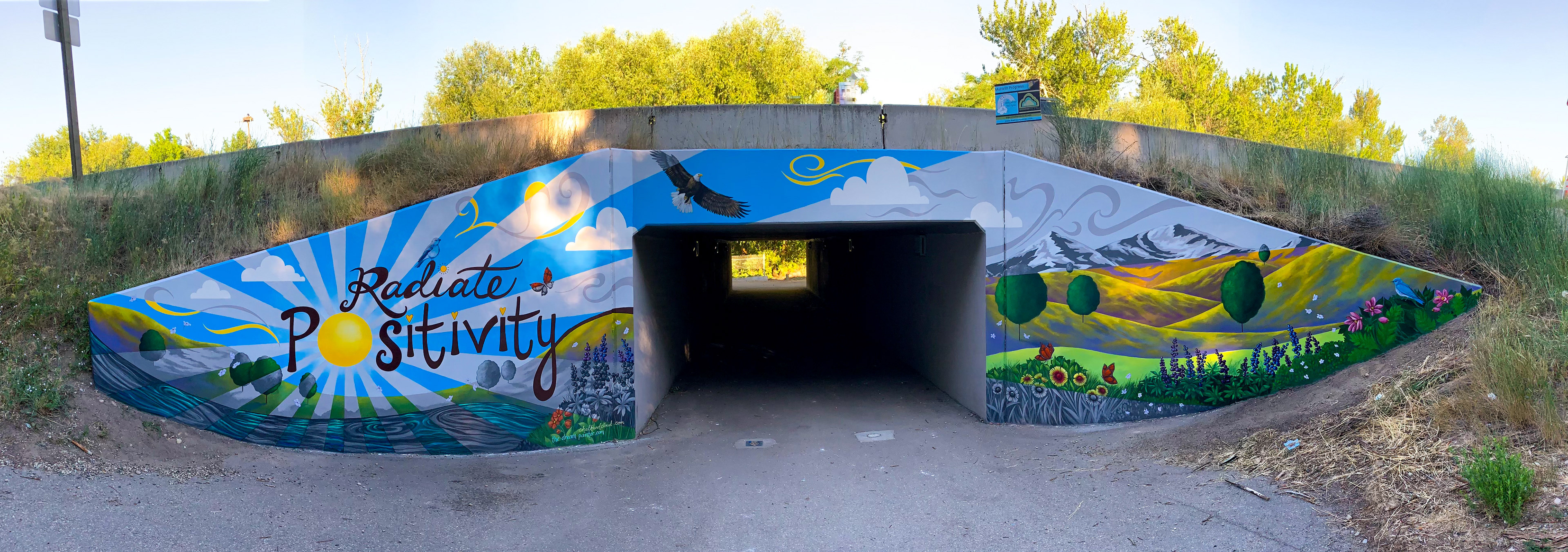 Eagle Idaho, Mace Trail Underpass Collaborative Mural