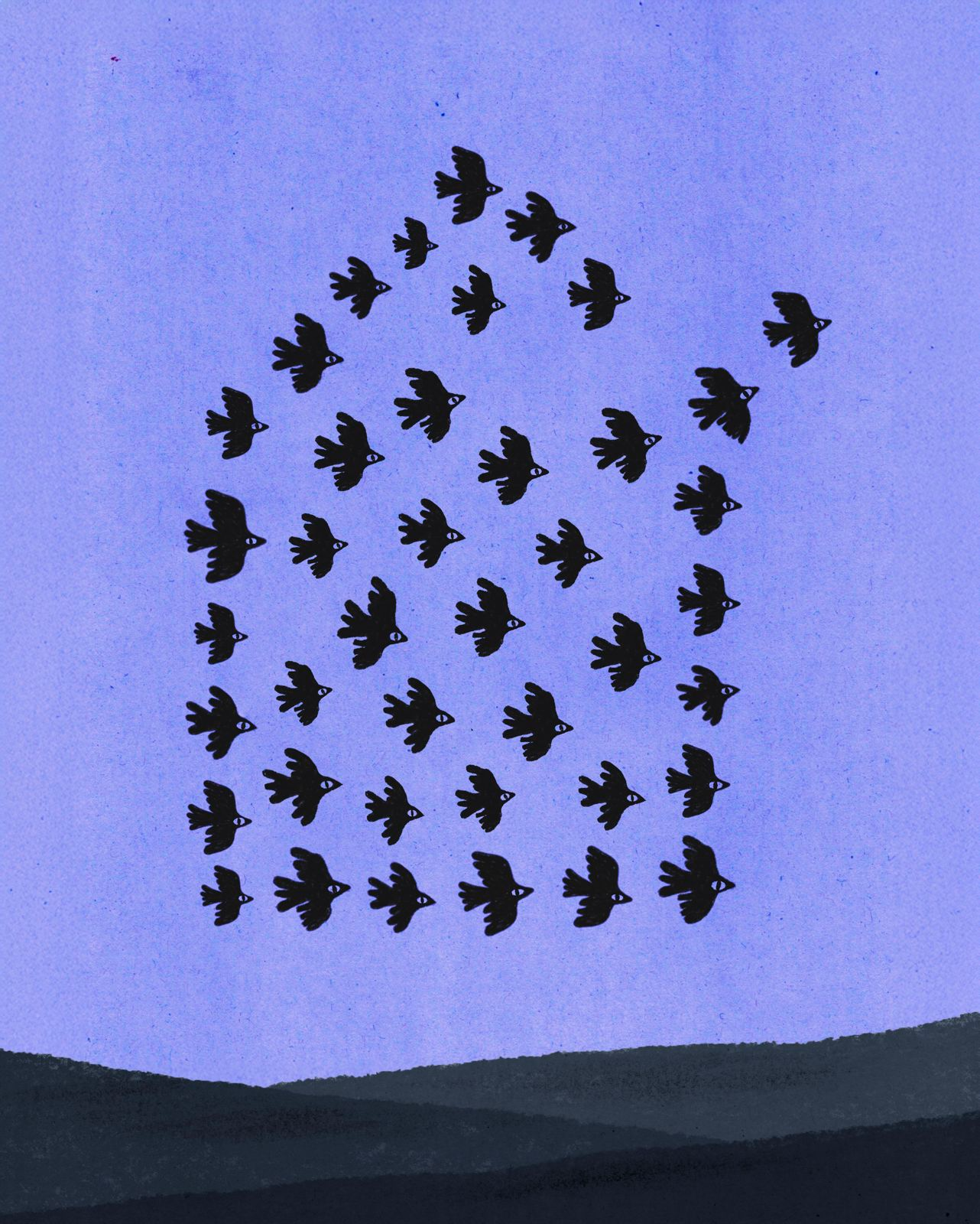 Come fanno gli uccelli a migrare - Neun newsletter