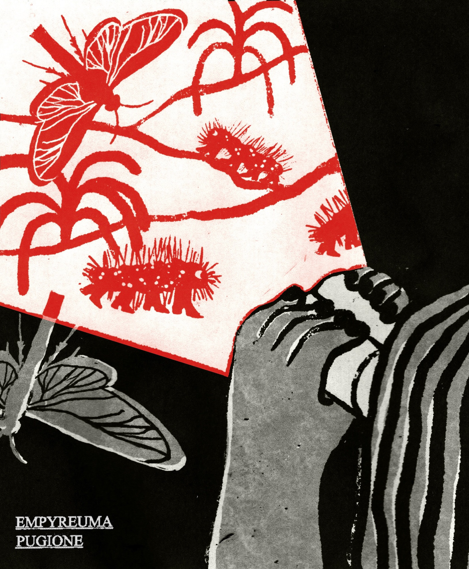 Empyreuma Pugione for Moth Produtions
