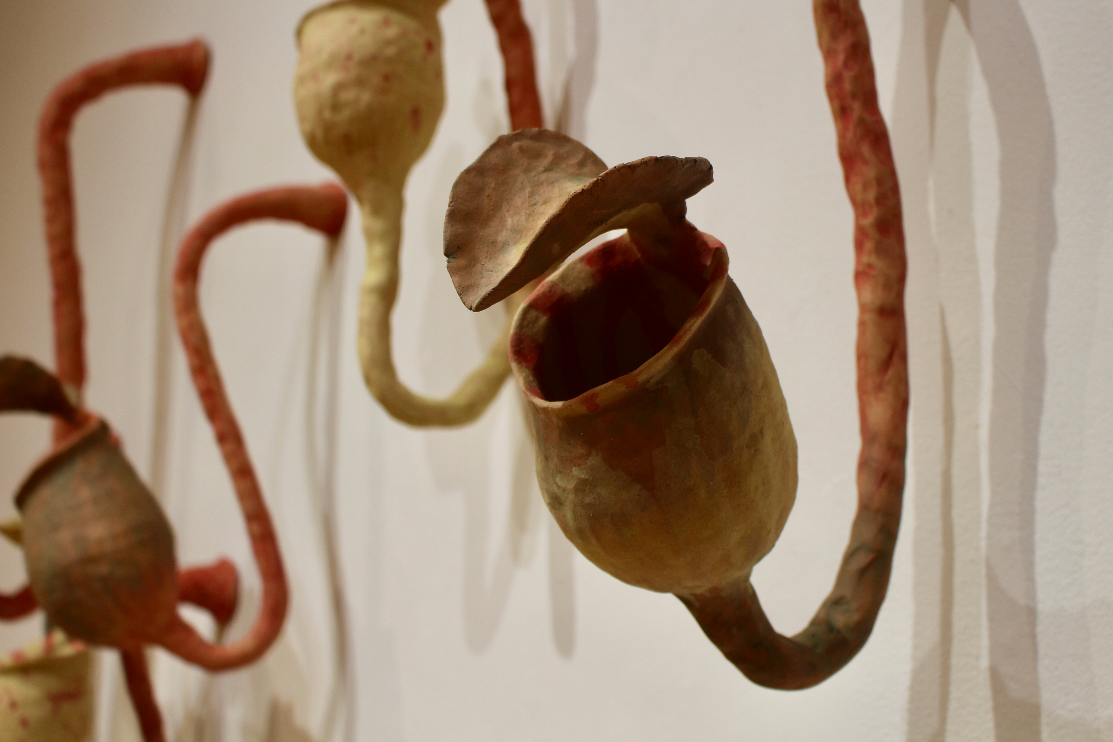 MFA Exhibit