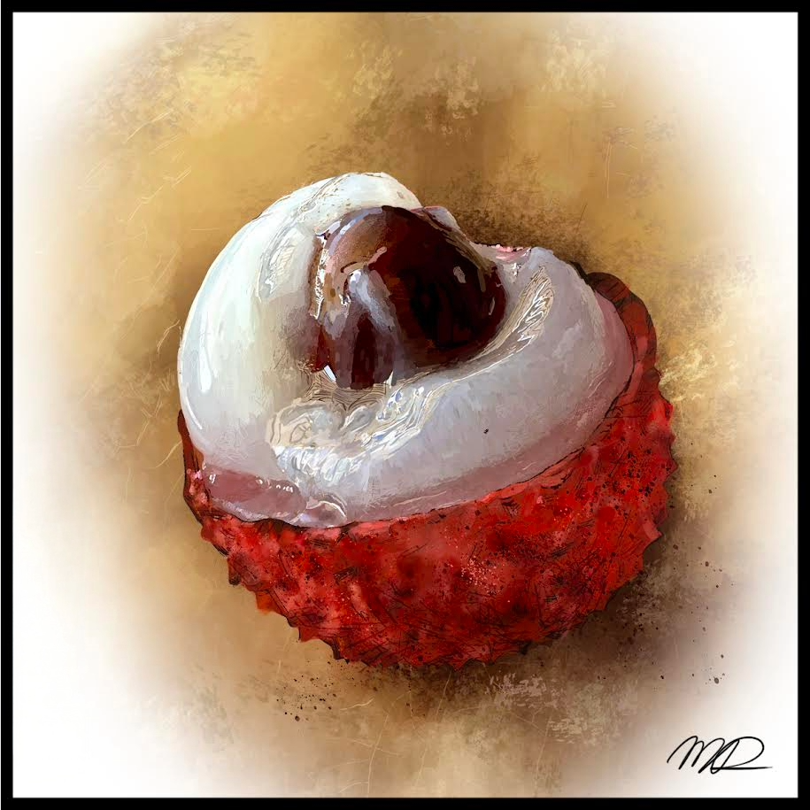 Lychee Watercolor & Digital Painting Study
