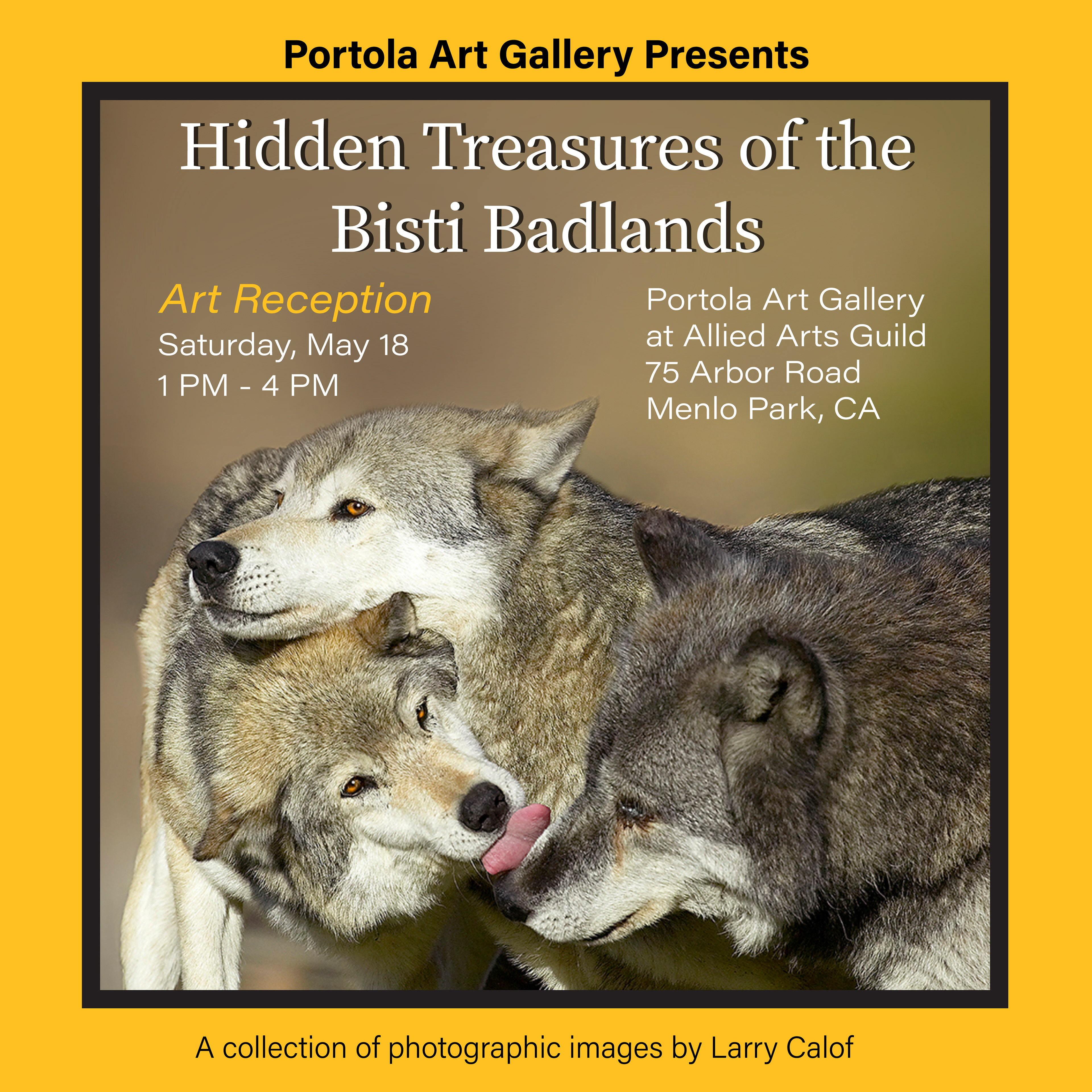 Portola Art Gallery flyer