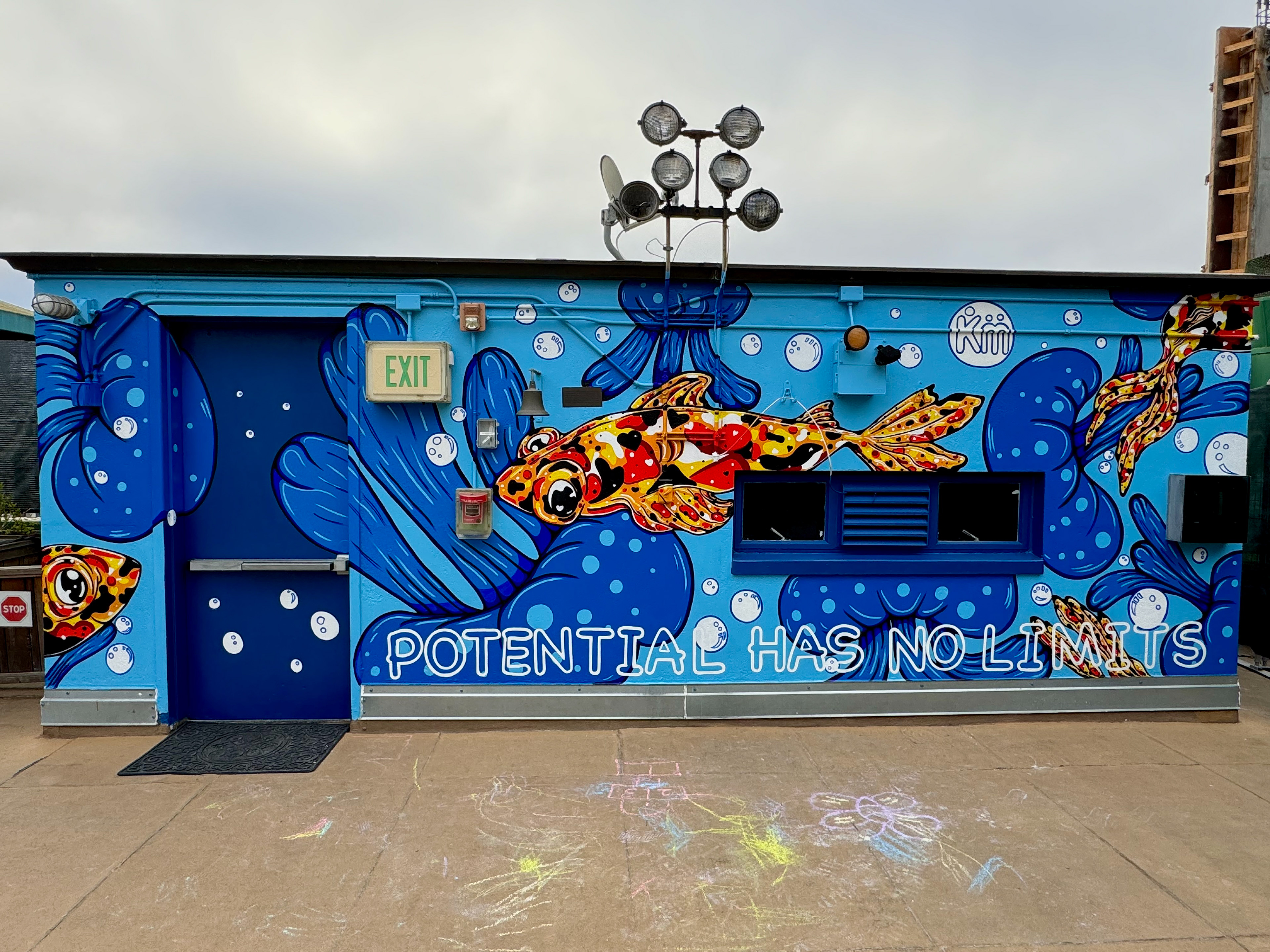 Final Mural (Front Wall)
