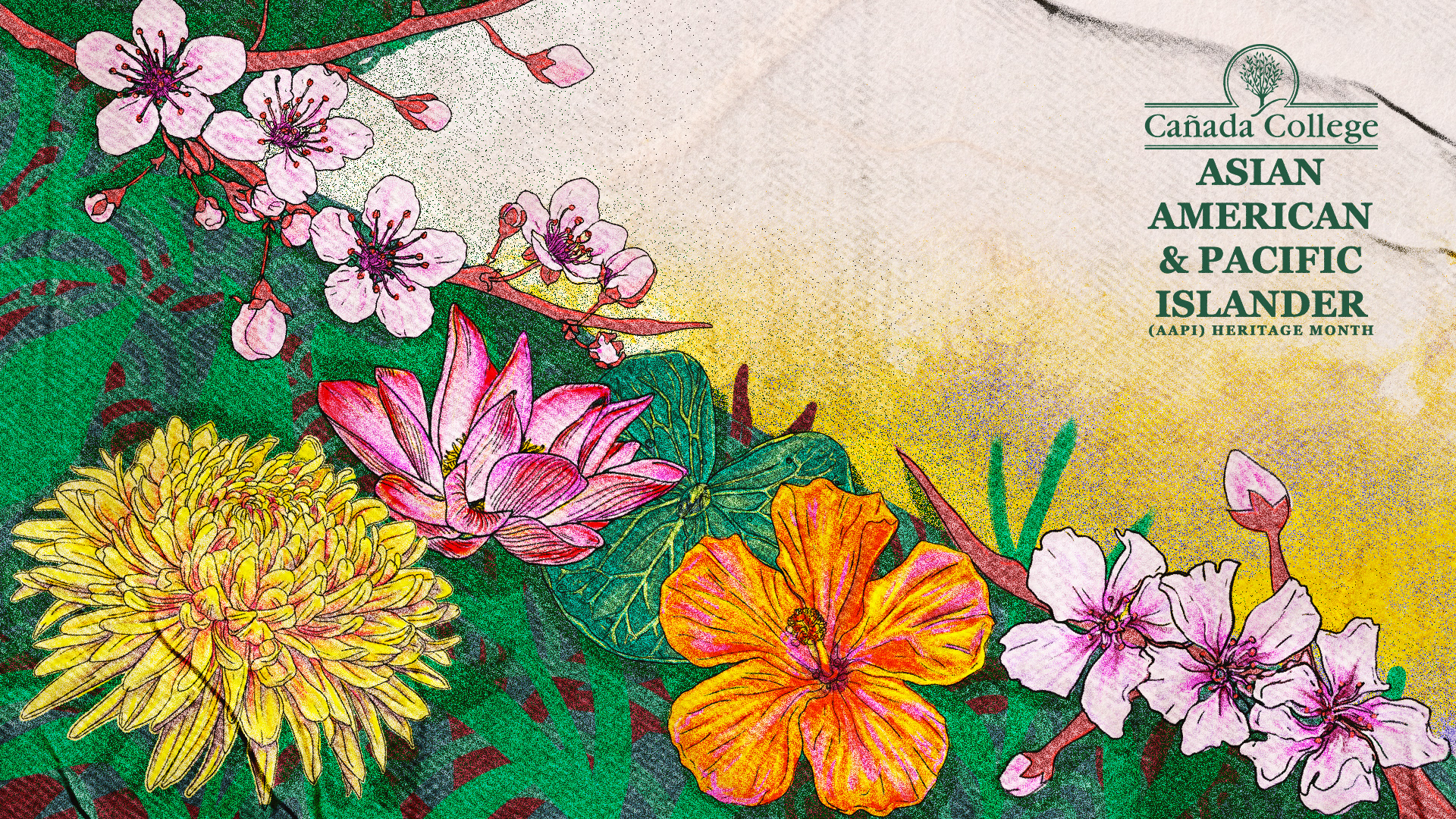 Final AAPI Menlo Studio Department Zoom Background V.3