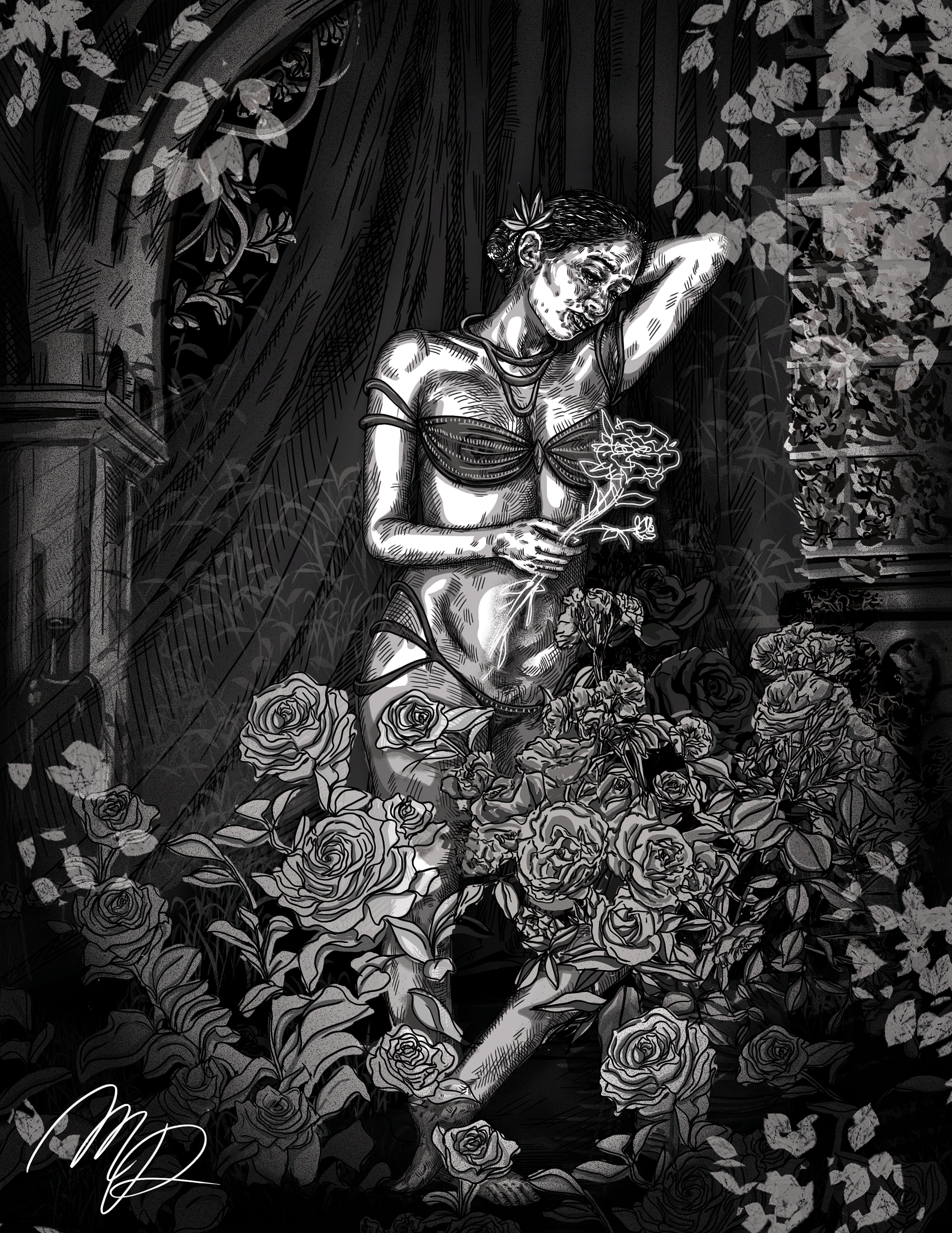 In The Garden 