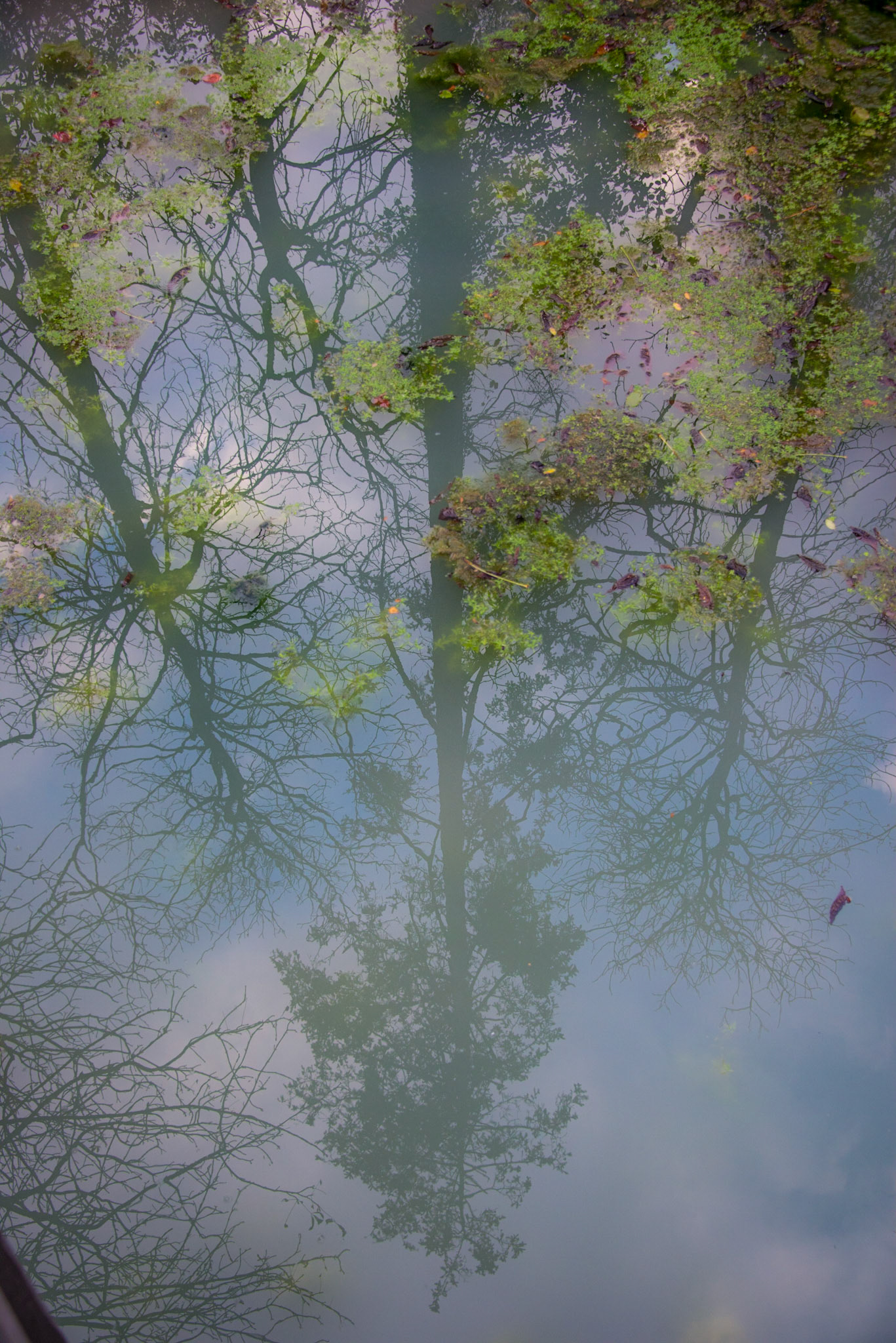 Château du Clos Lucé, Leonardo da Vinci